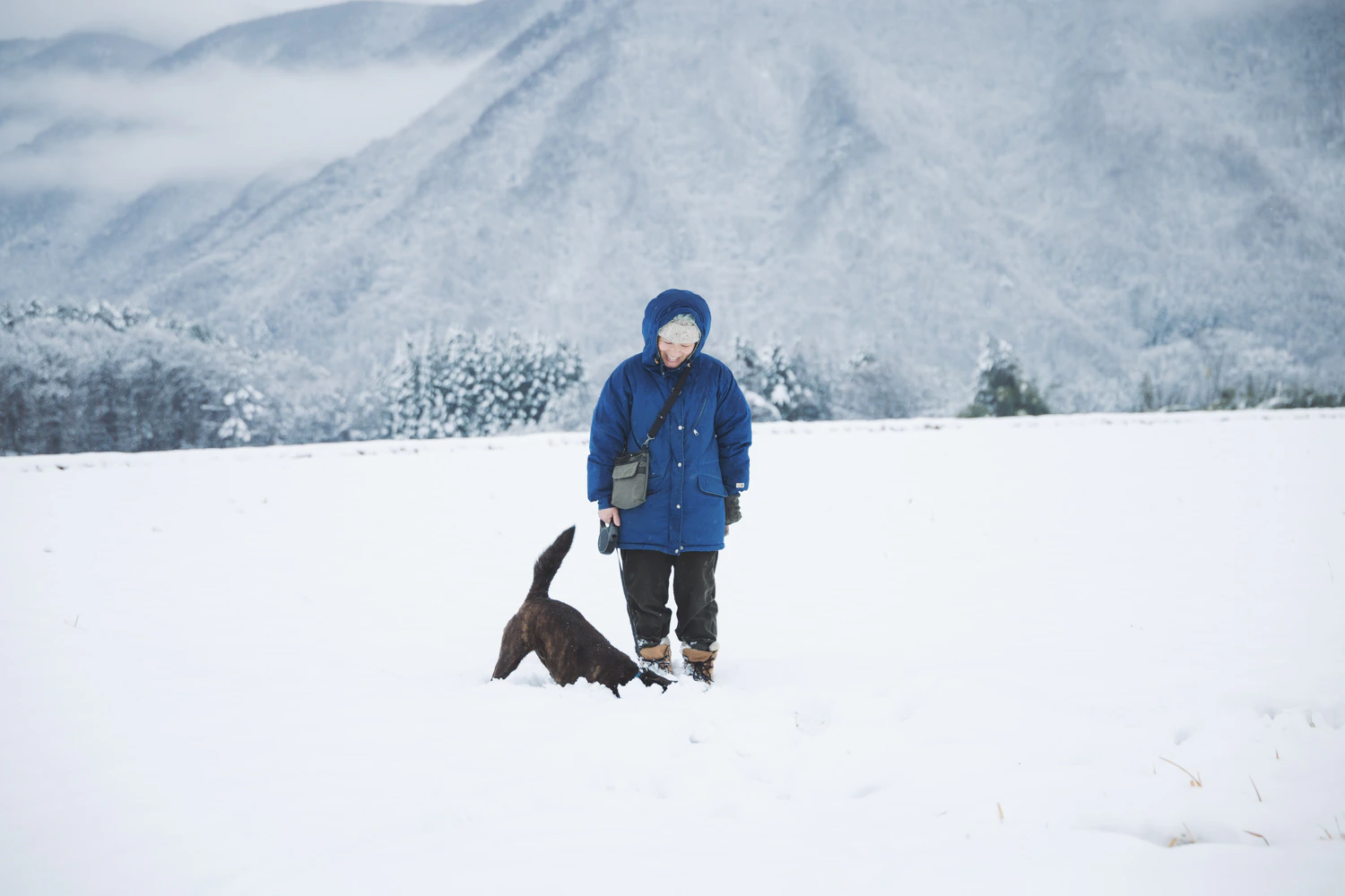 3月の雪