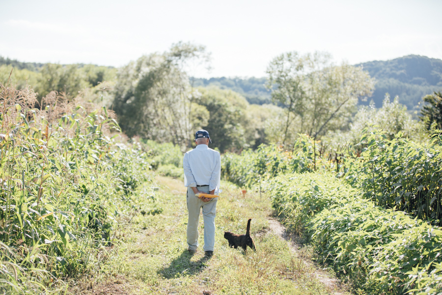 【連載】dancyu 『食の絶滅危惧種』