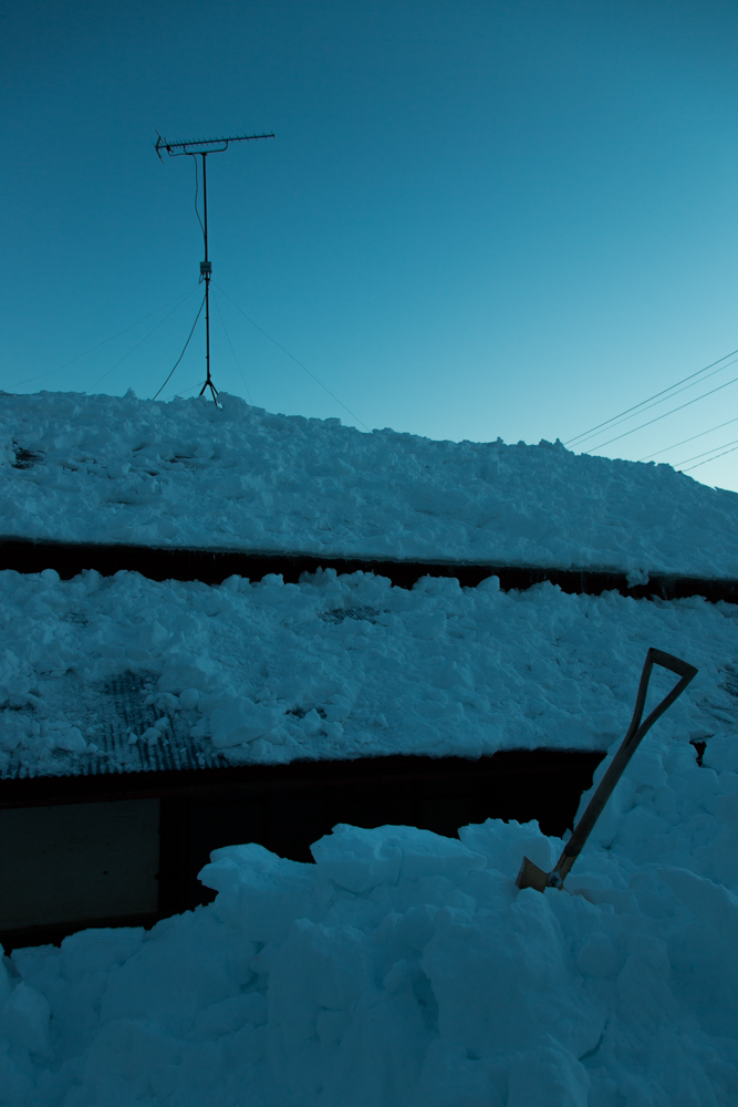 大雪のあとのあたたかさ。