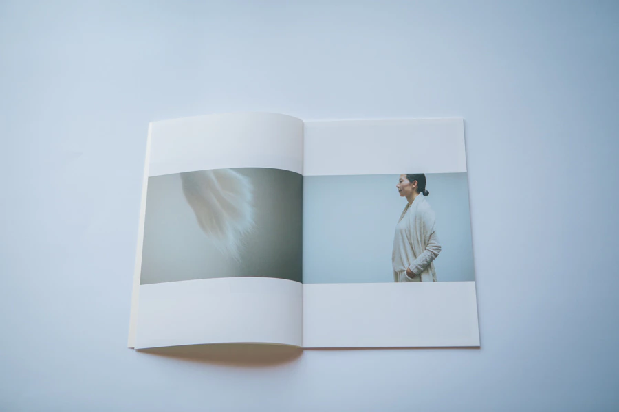 evam eva 2016 spring summer