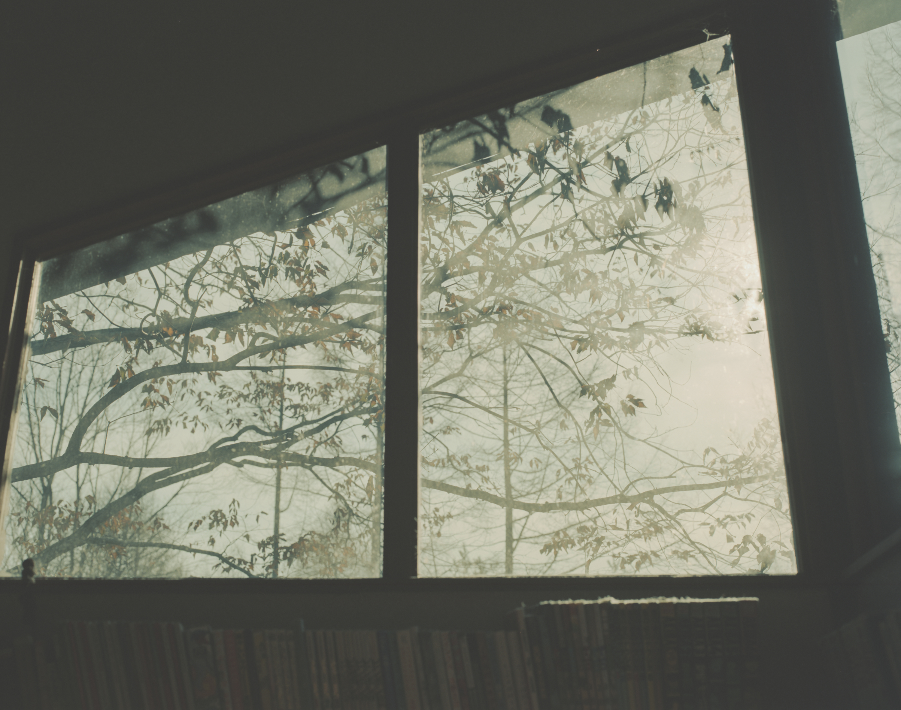 続　日々の隙間　2018