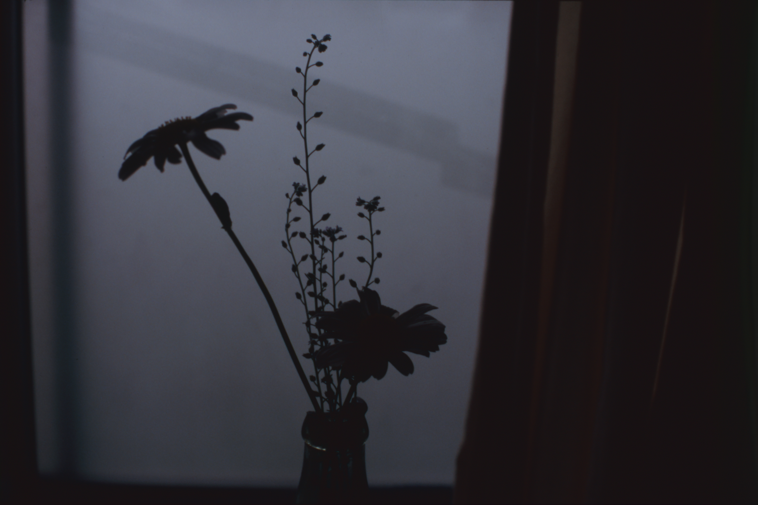 日々の隙間　2005