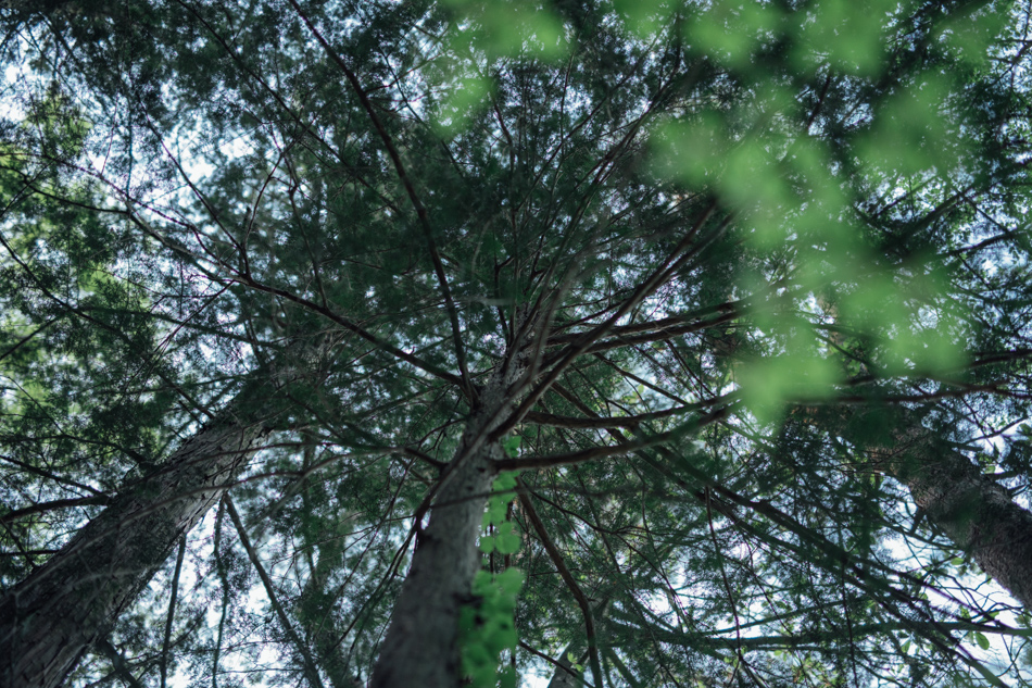 yl&Co.Hotel in Mt.Fuji