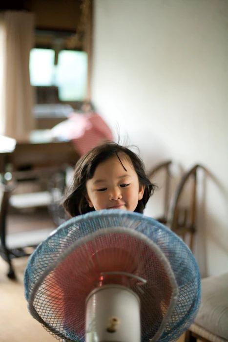 夏フェス in 家(うち)