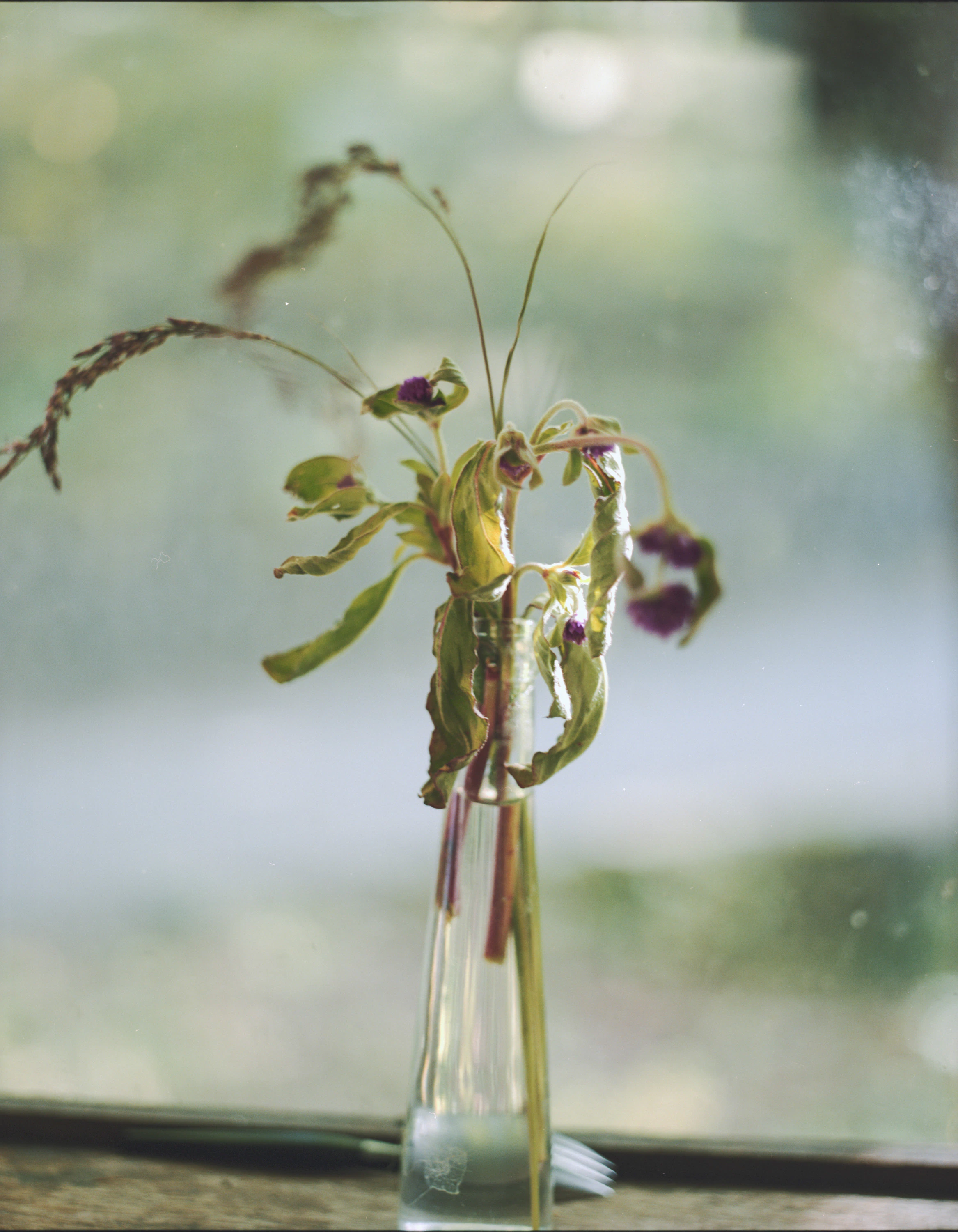 ZINE「 LANDING LAND」