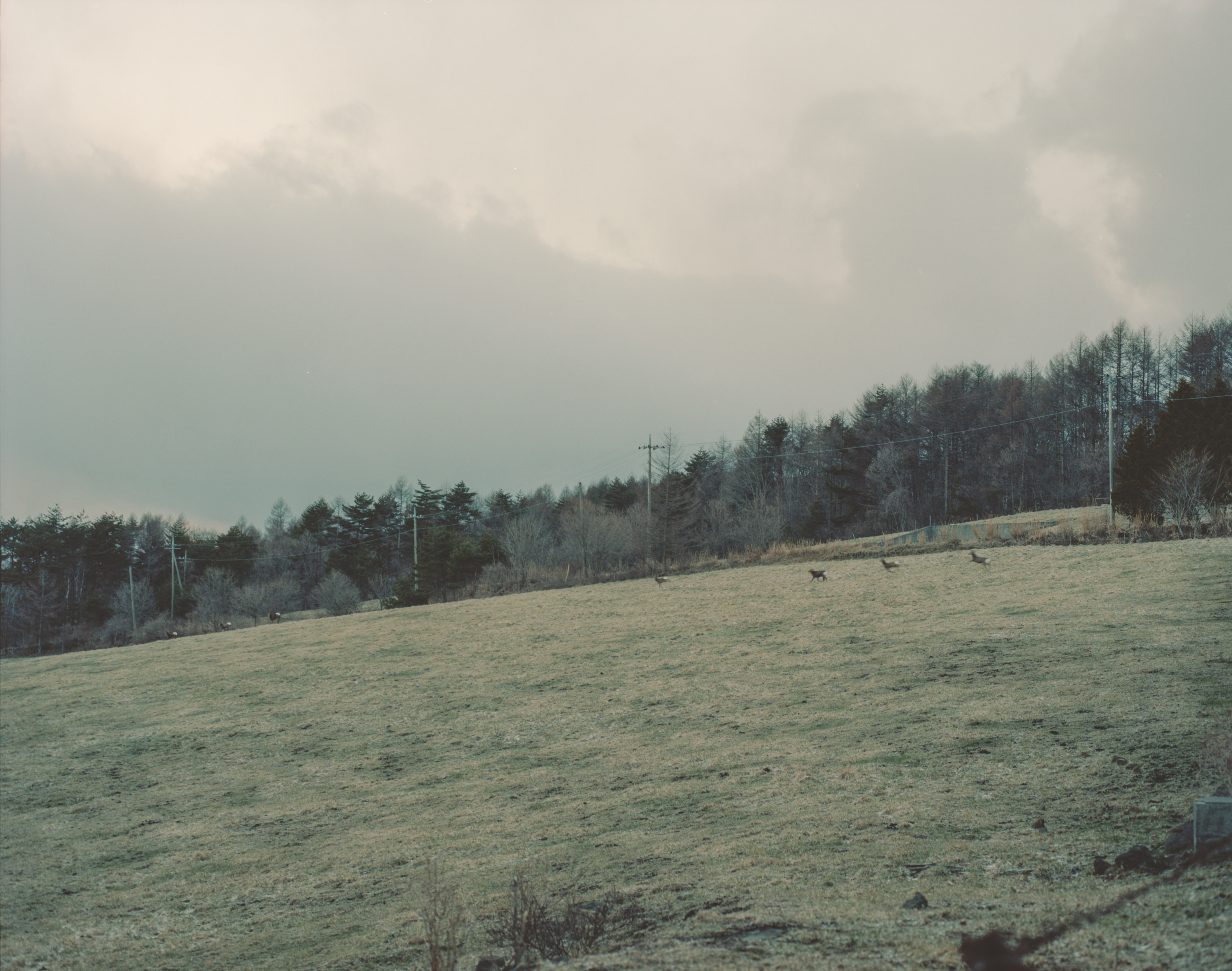 続　日々の隙間　2018