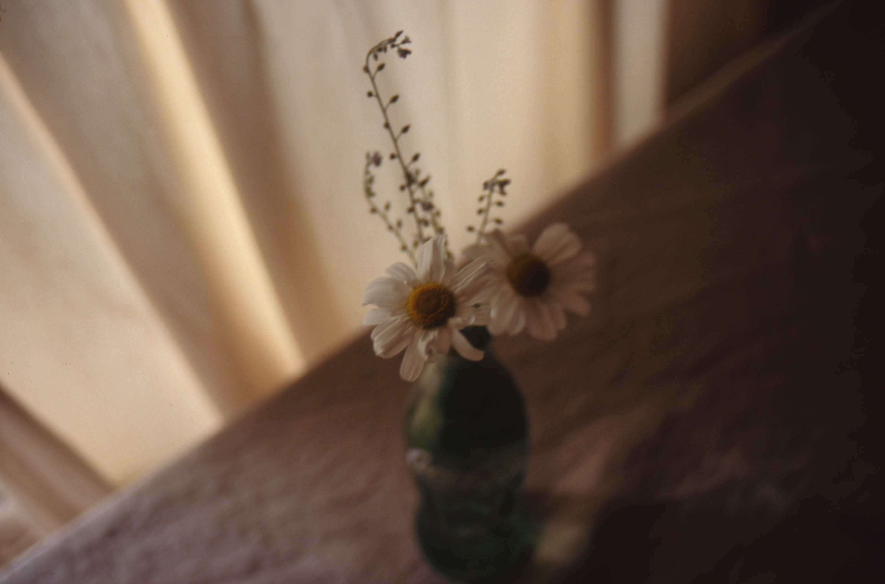 日々の隙間　2005