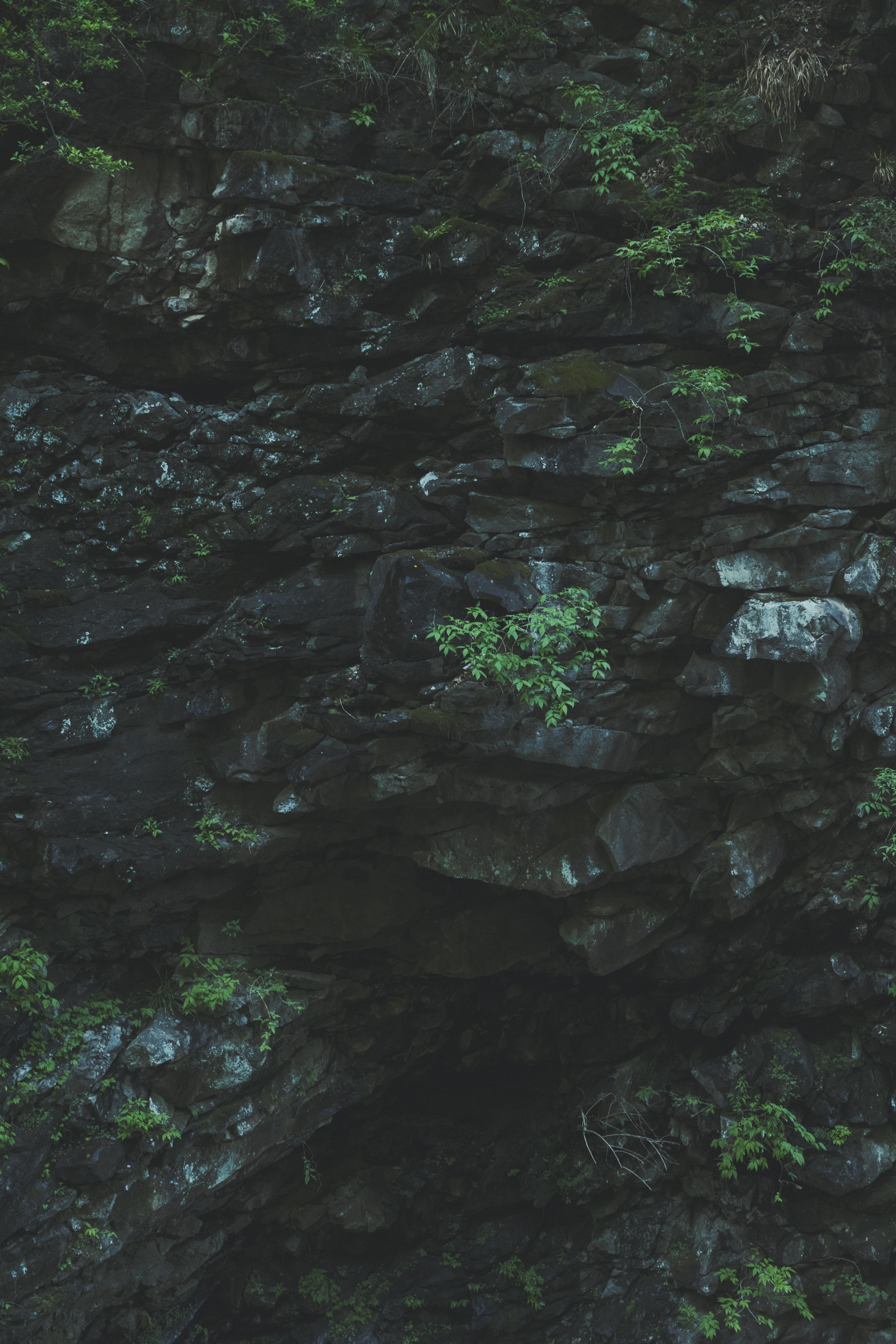 Jurgen Lehl & Babaghuri 2022 Autumn Collection