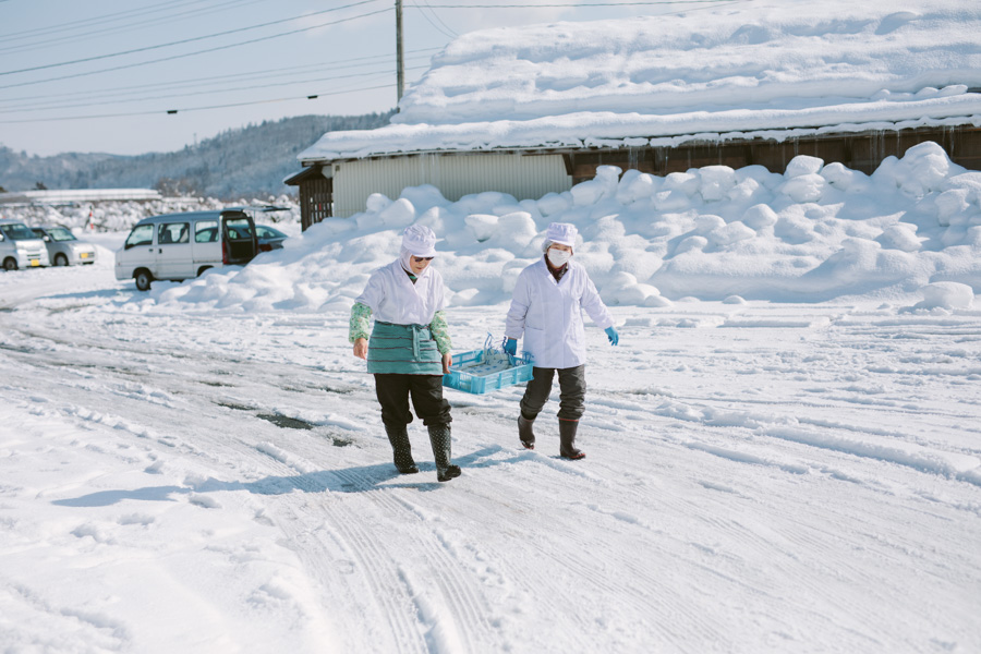 【連載】dancyu 『食の絶滅危惧種』