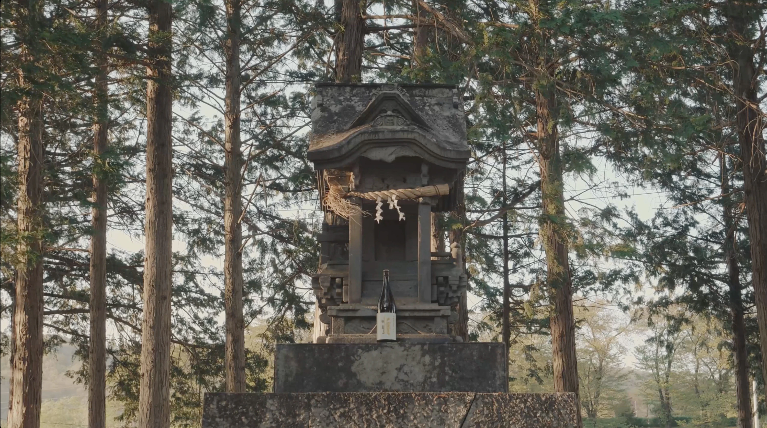 七賢 水のゆくすえ