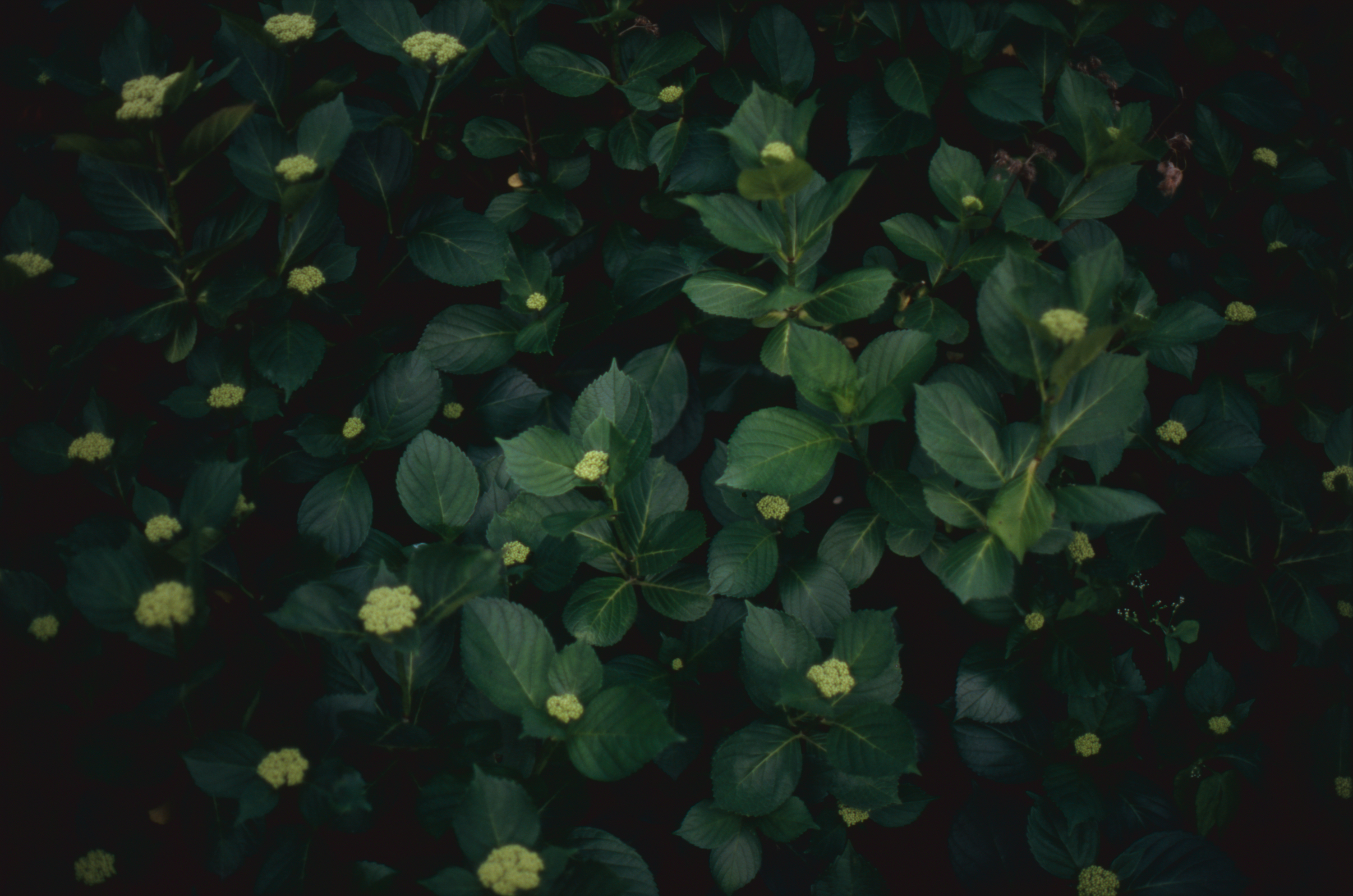 日々の隙間　2005