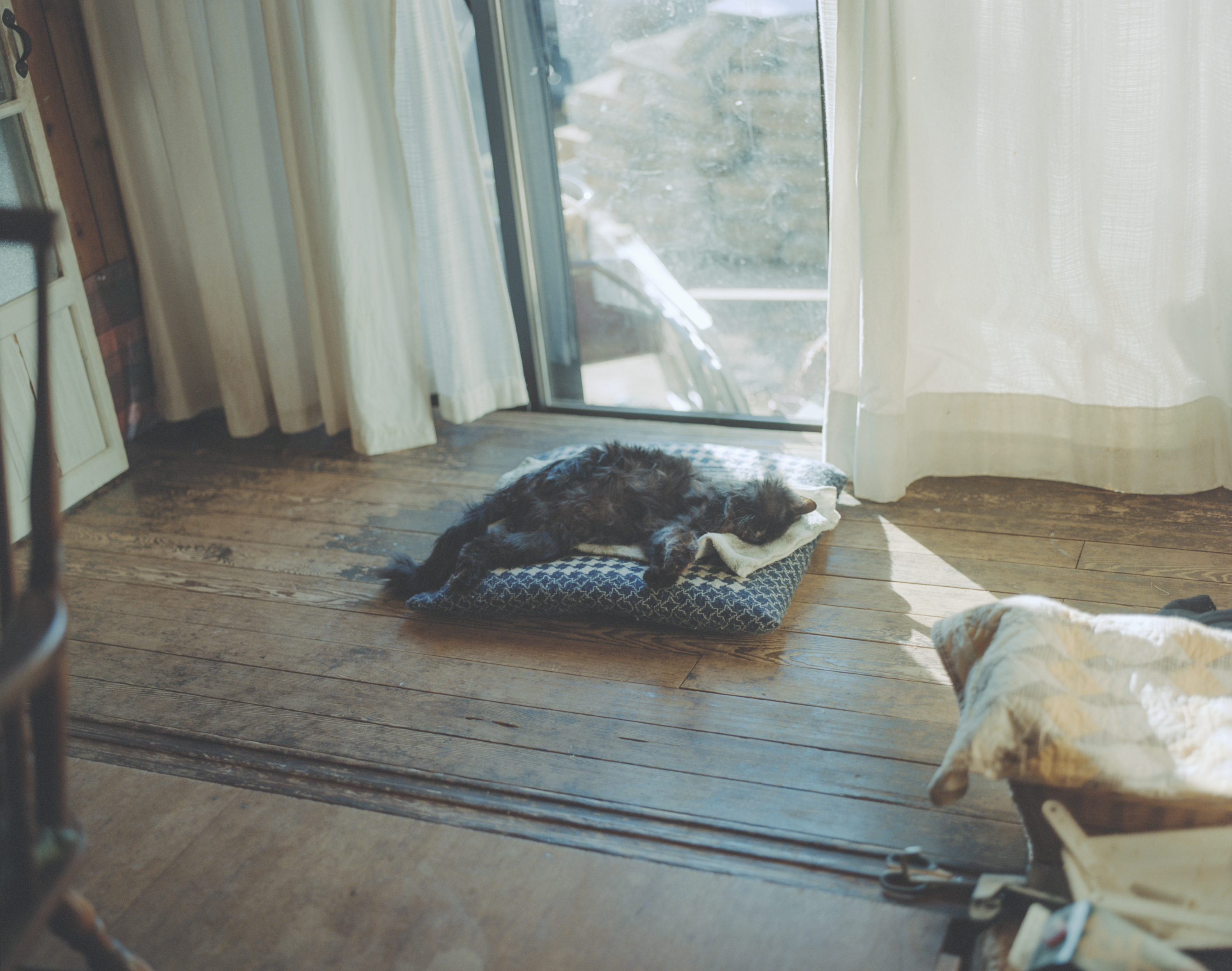 続　日々の隙間　2018