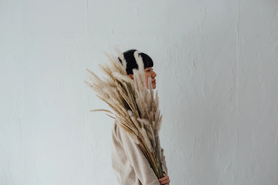 evam eva A/W collection 2016
