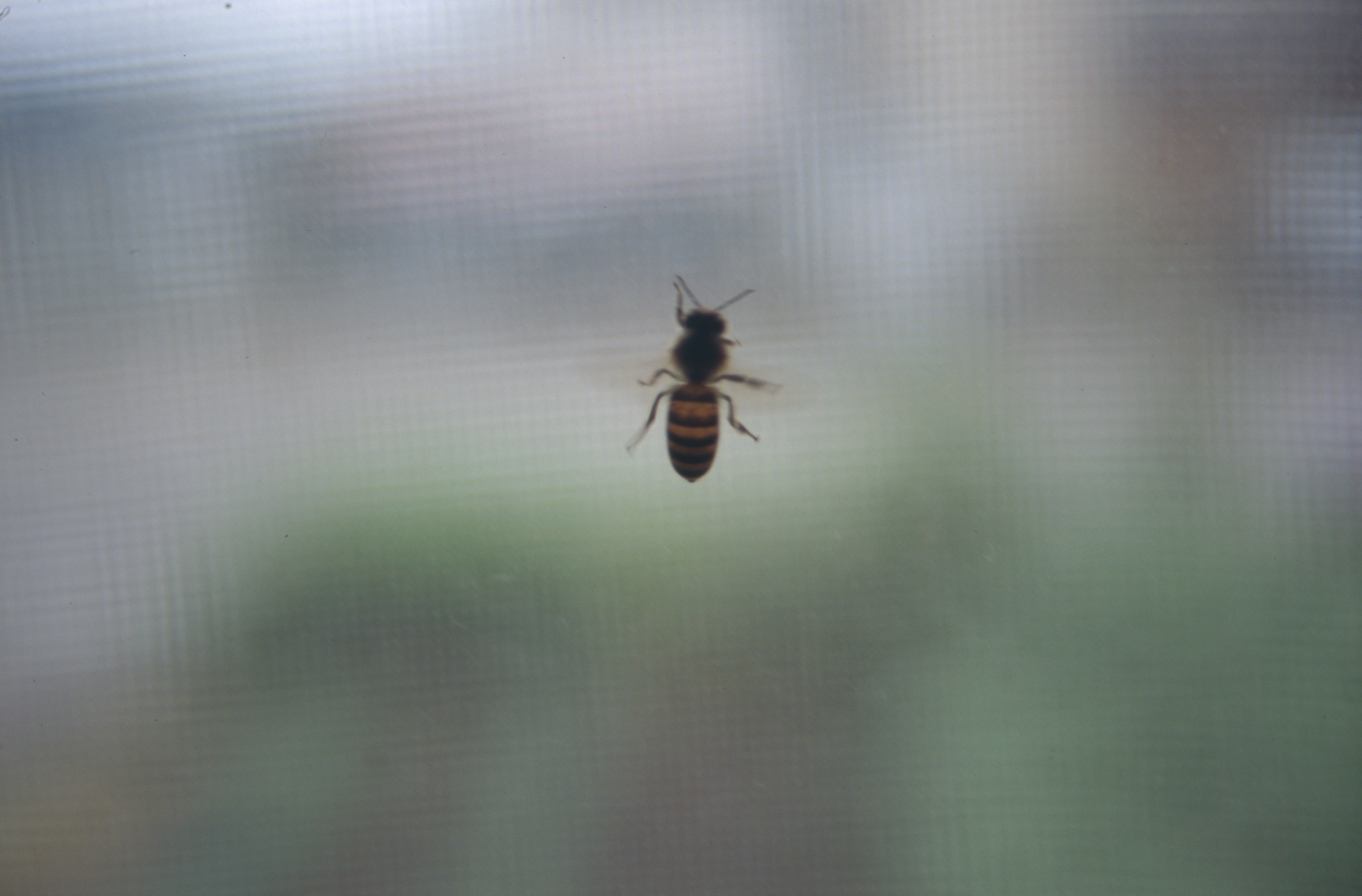 日々の隙間　2005