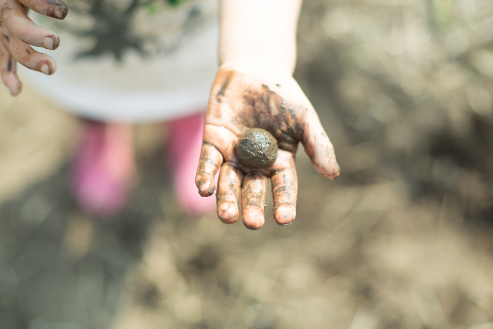 畑のはじまり。