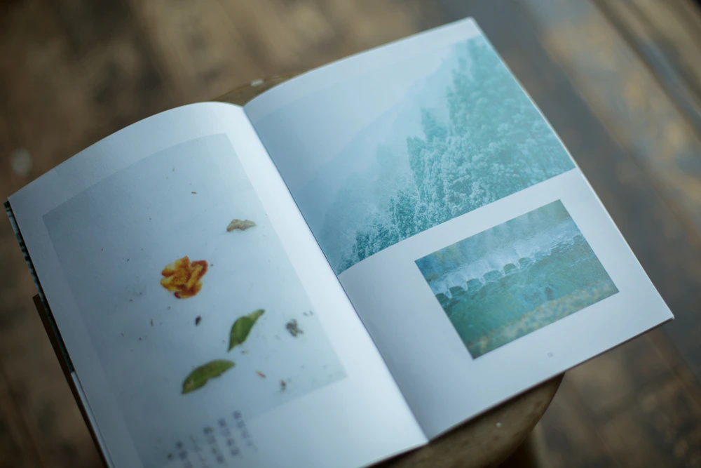 「大山 OYAMA」伊勢原 大山