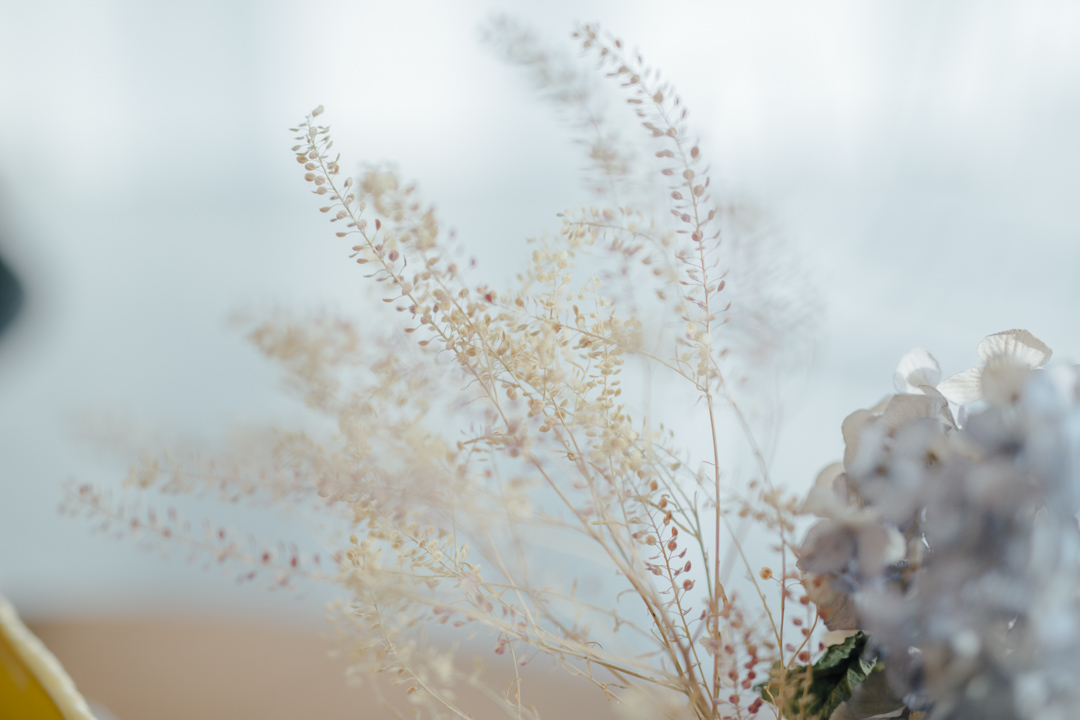 女子美術大学　2018学校案内