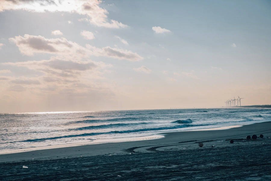 山生まれ、山育ち。