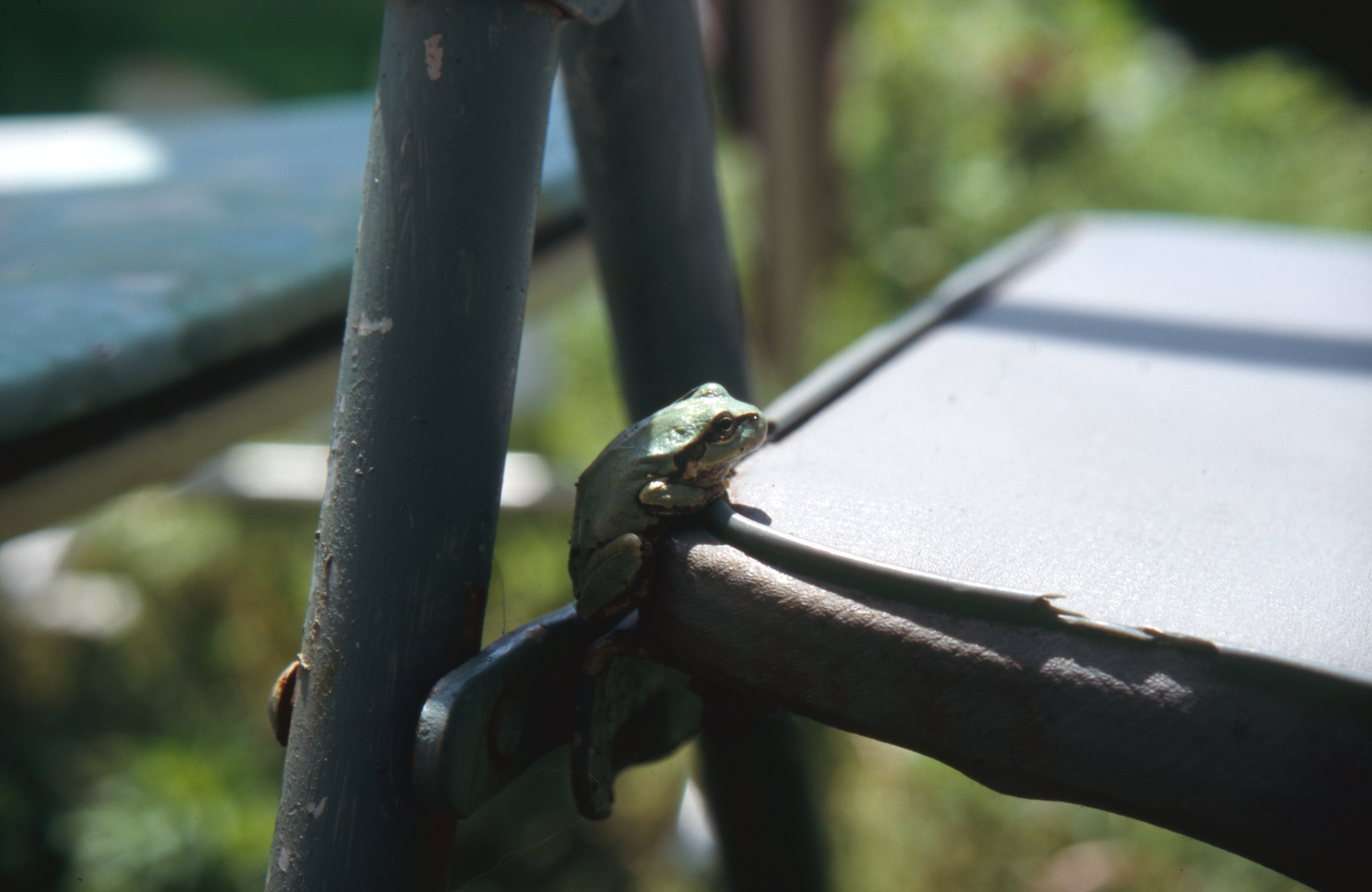 日々の隙間　2005