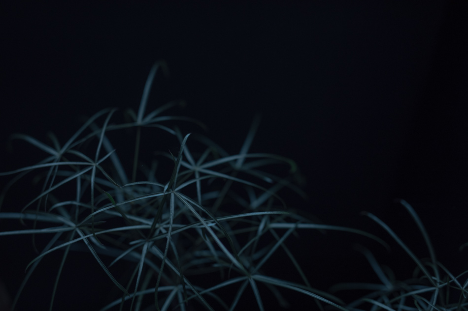 yl&Co.Hotel in Mt.Fuji