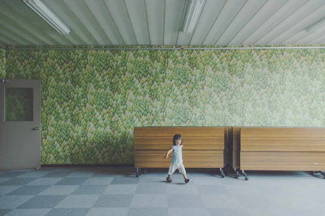 いつもの森?