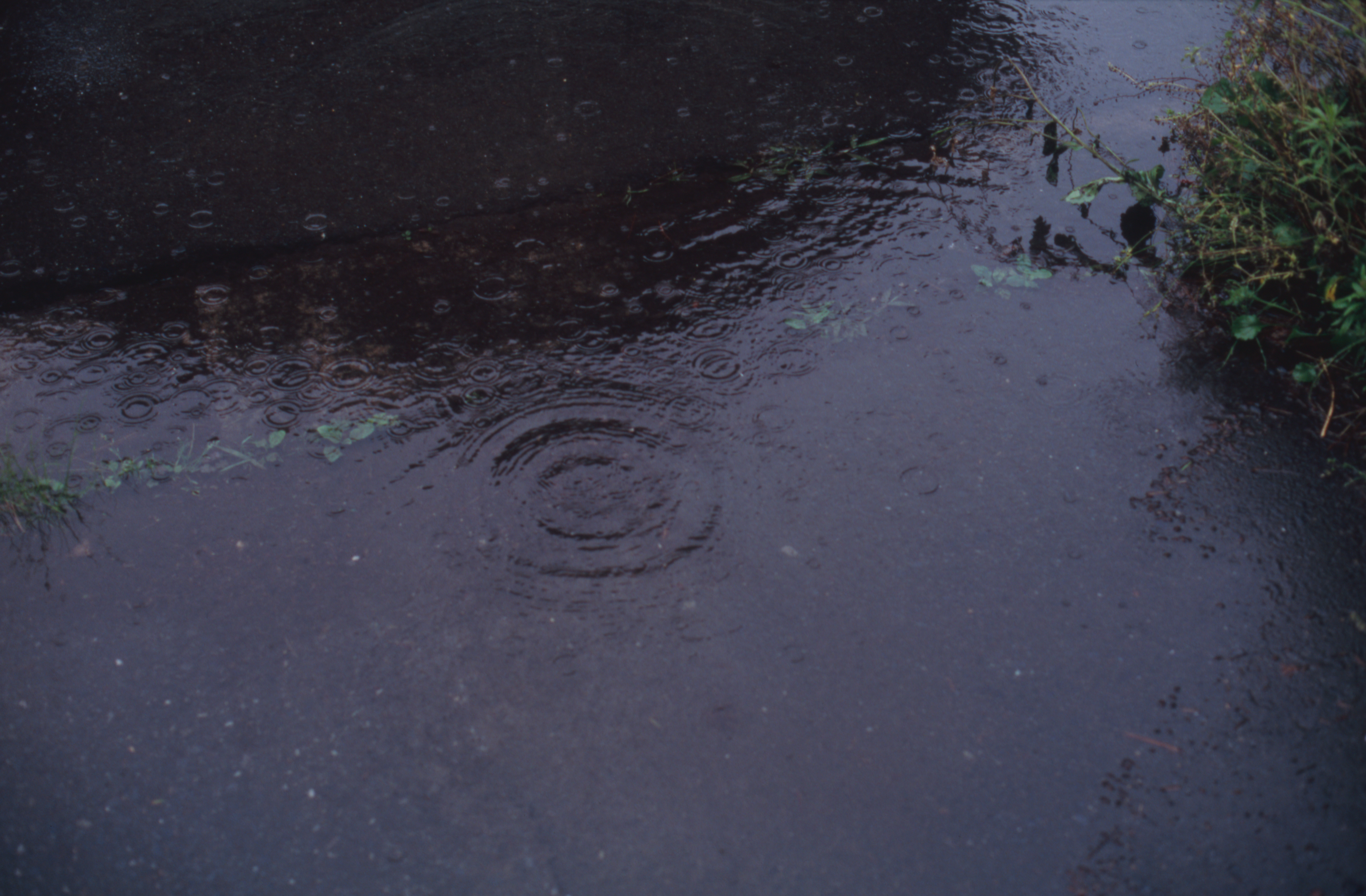 日々の隙間　2005