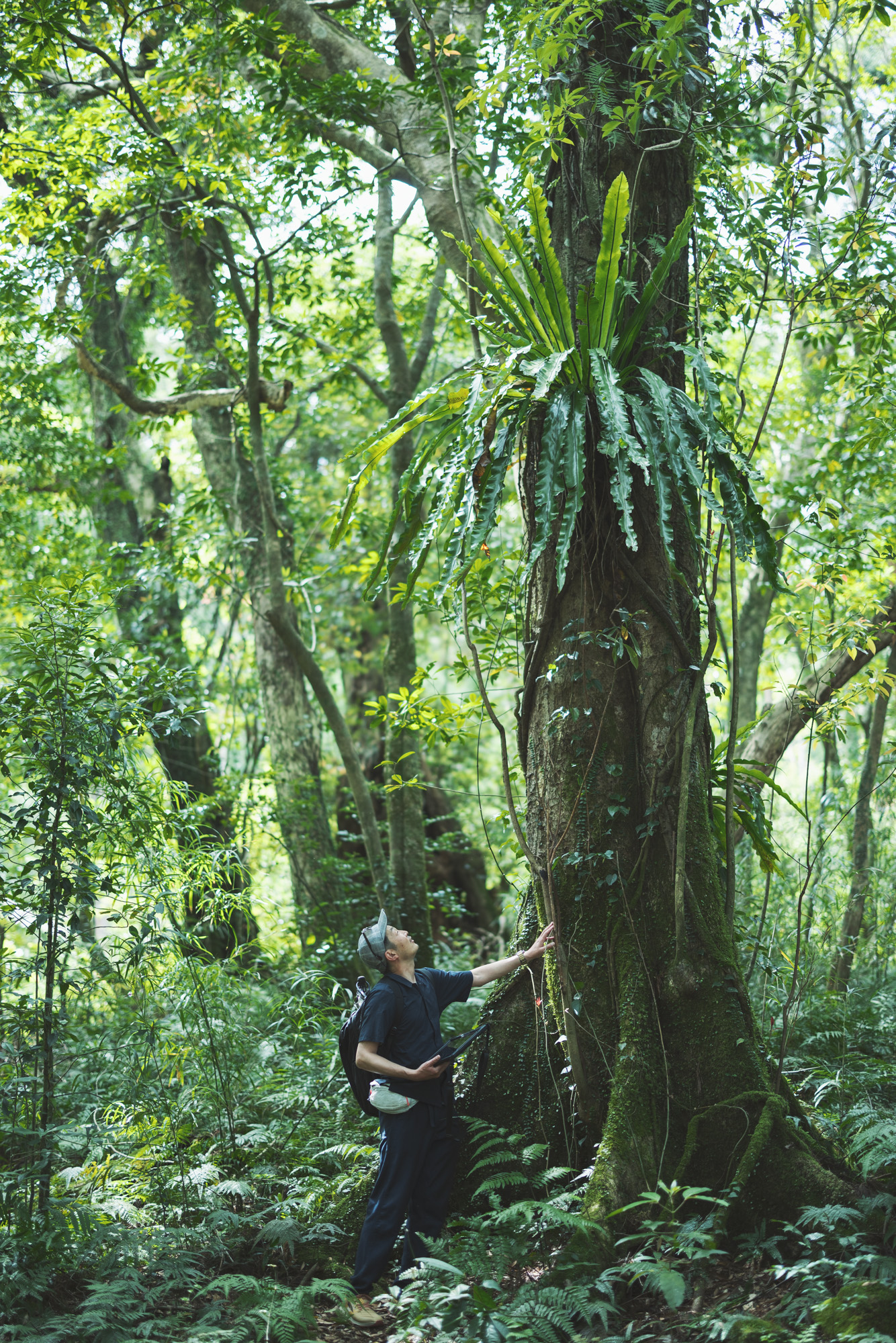 屋久島での撮影