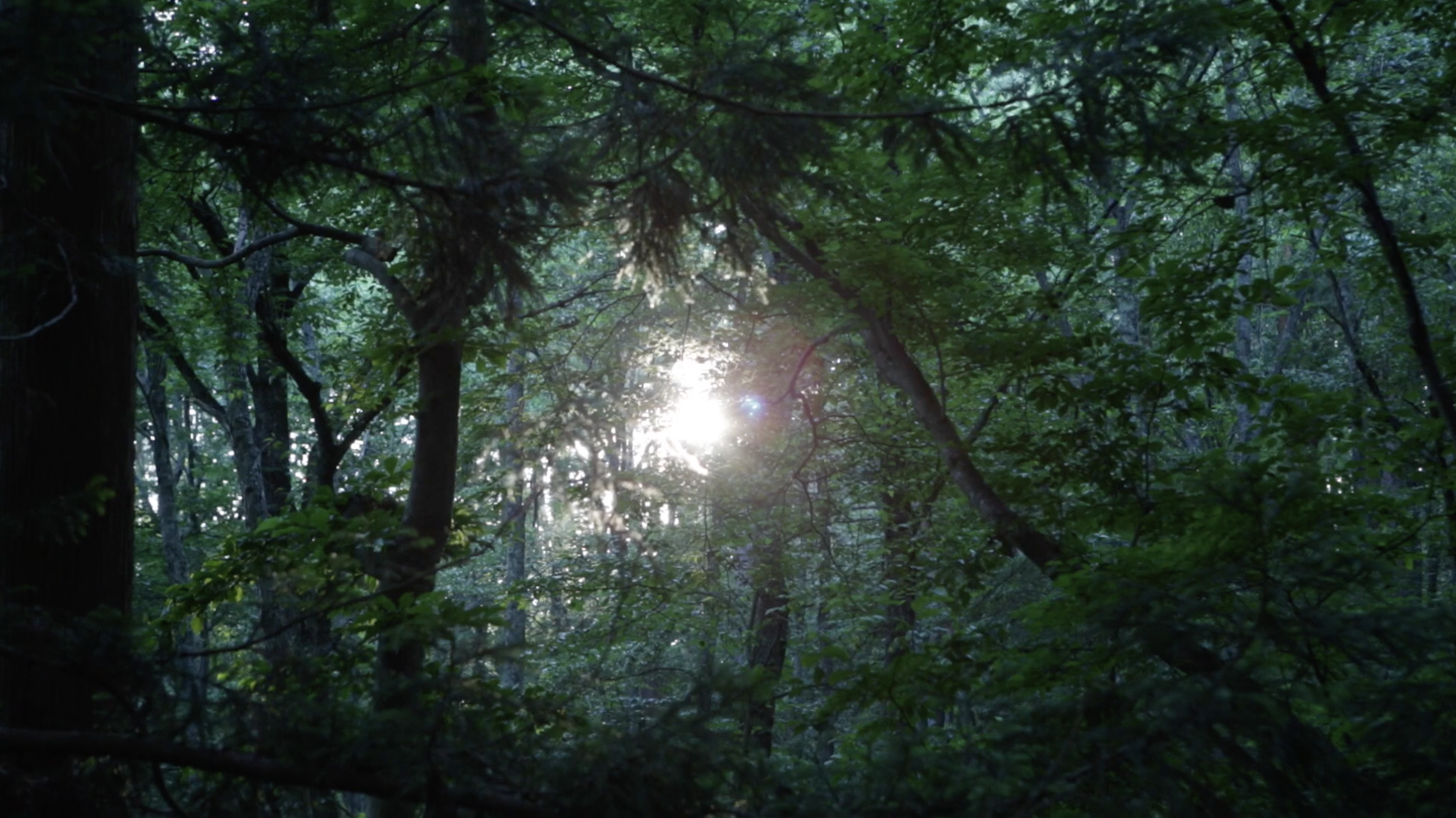KINFOLK Community Gatherings YAMANASHI