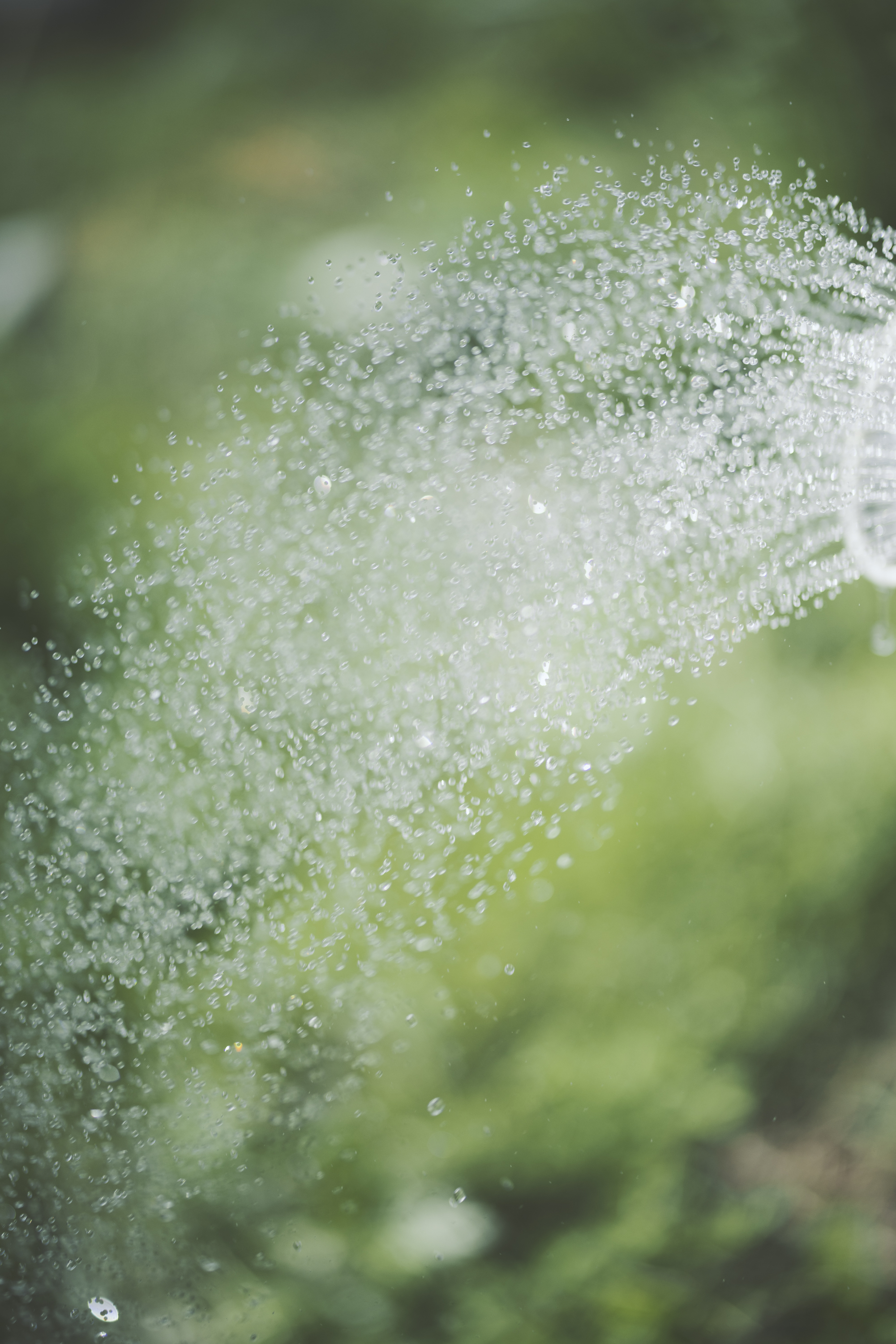 「サスティナブルに家を建てる」服部雄一郎　麻子