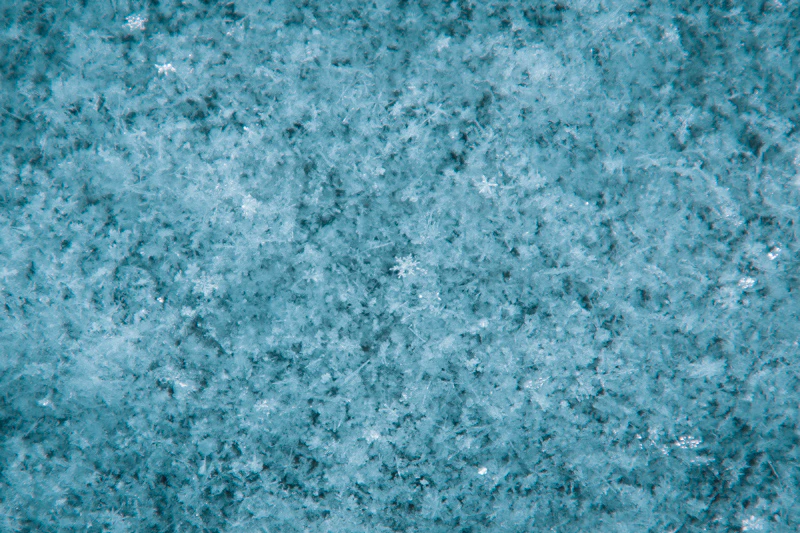 年の瀬の八島湿原