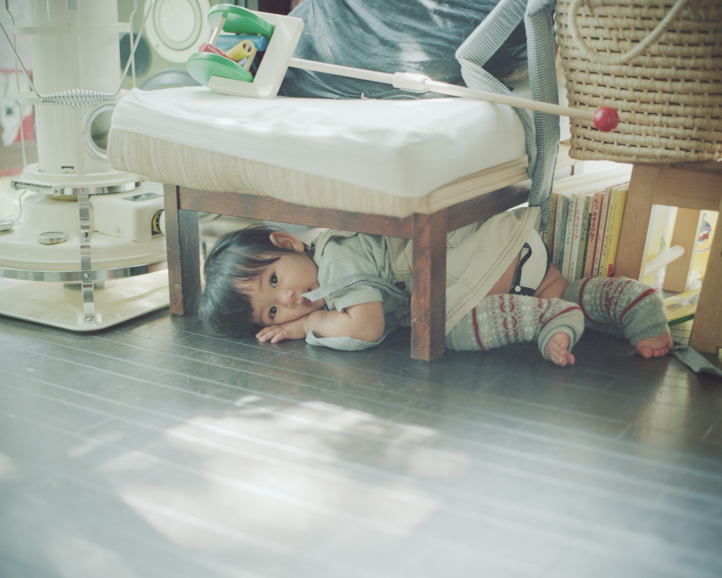 LANDING LAND 透明な日常