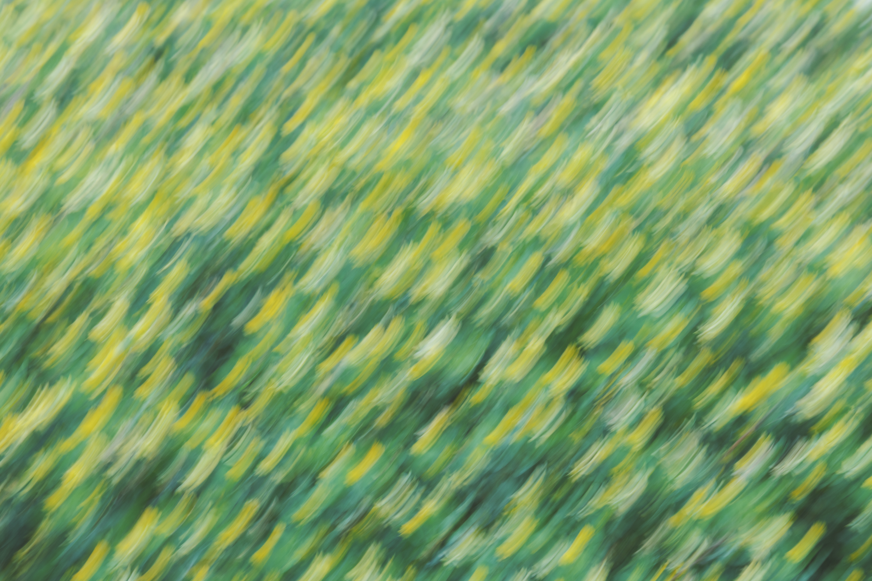 CALENDER 2026 「LONG SEASON」　