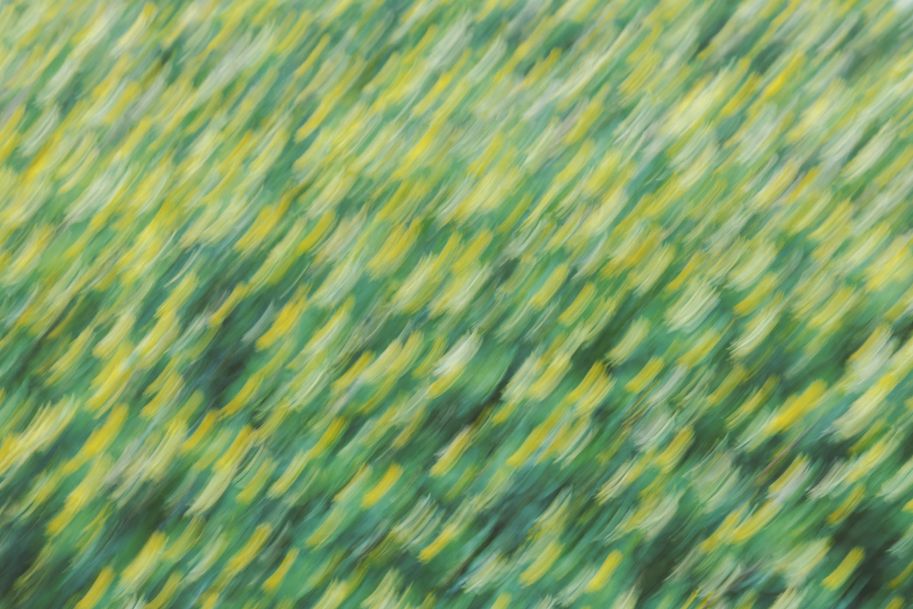 CALENDER 2026 「LONG SEASON」