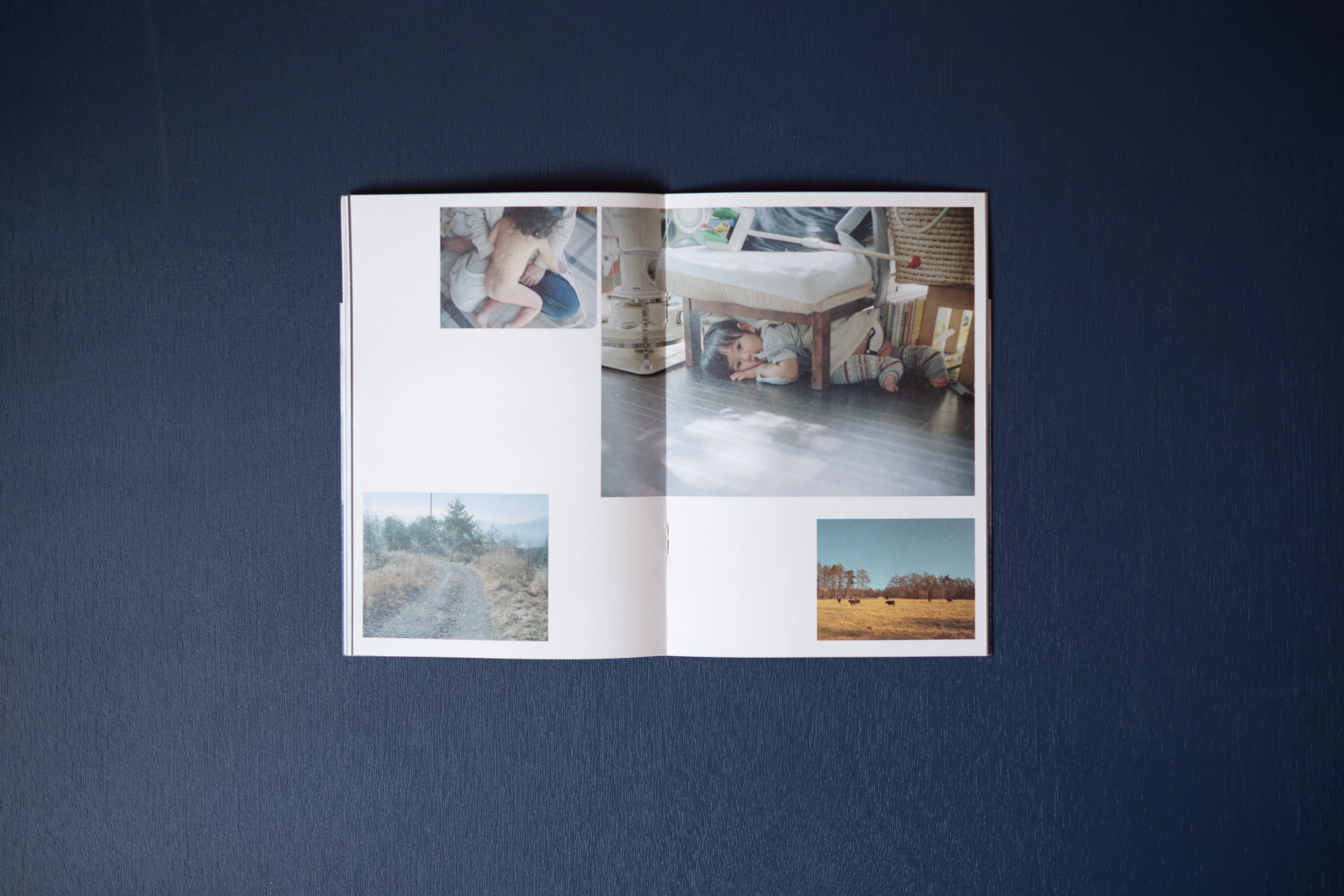 ZINE「 LANDING LAND」