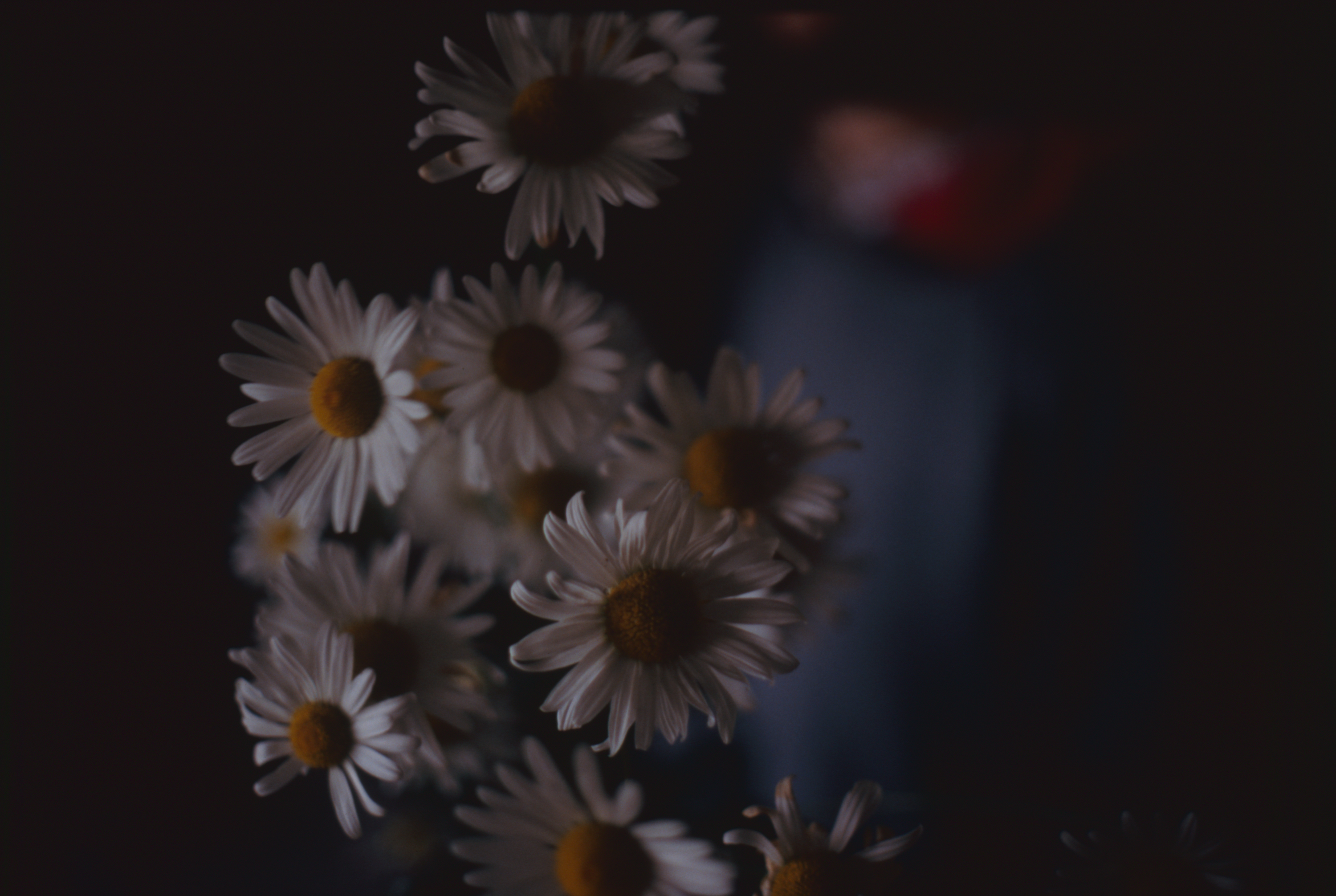 日々の隙間　2005