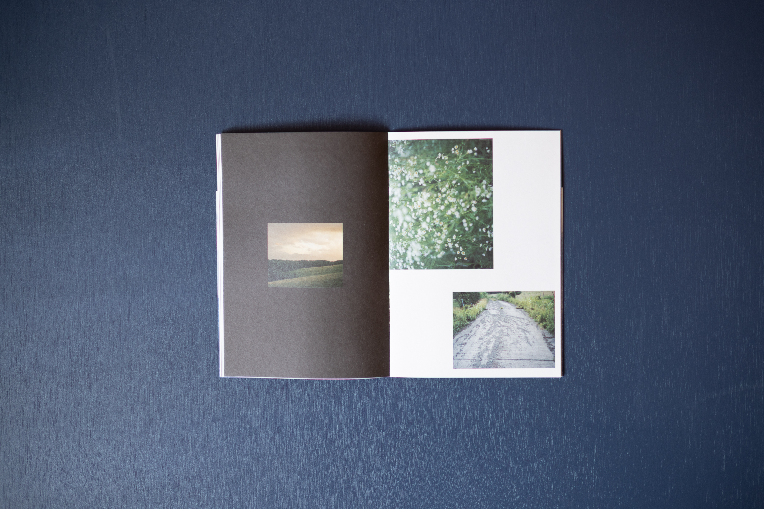 ZINE「 LANDING LAND」