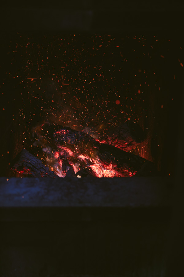 【連載】dancyu 『食の絶滅危惧種』