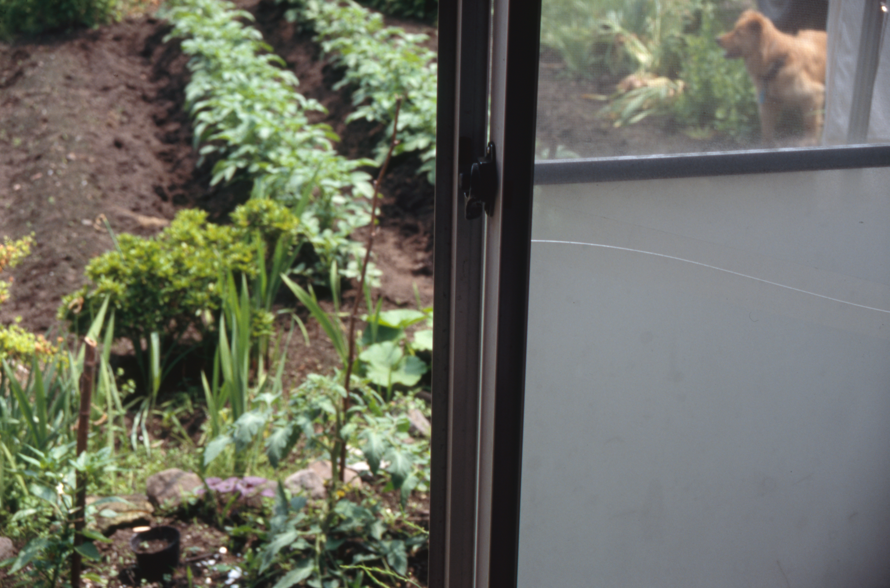 日々の隙間　2005