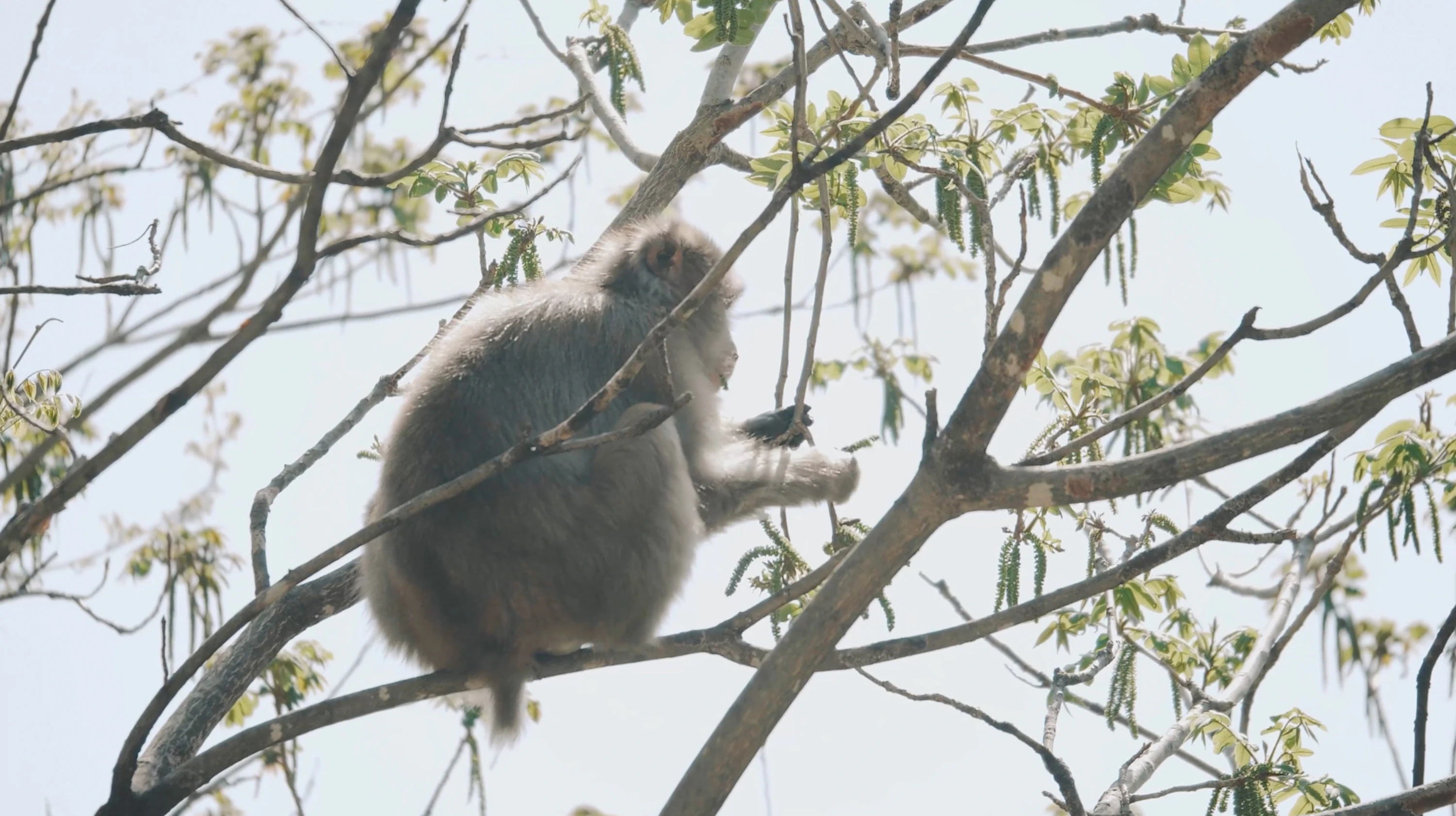 七賢 水のゆくすえ