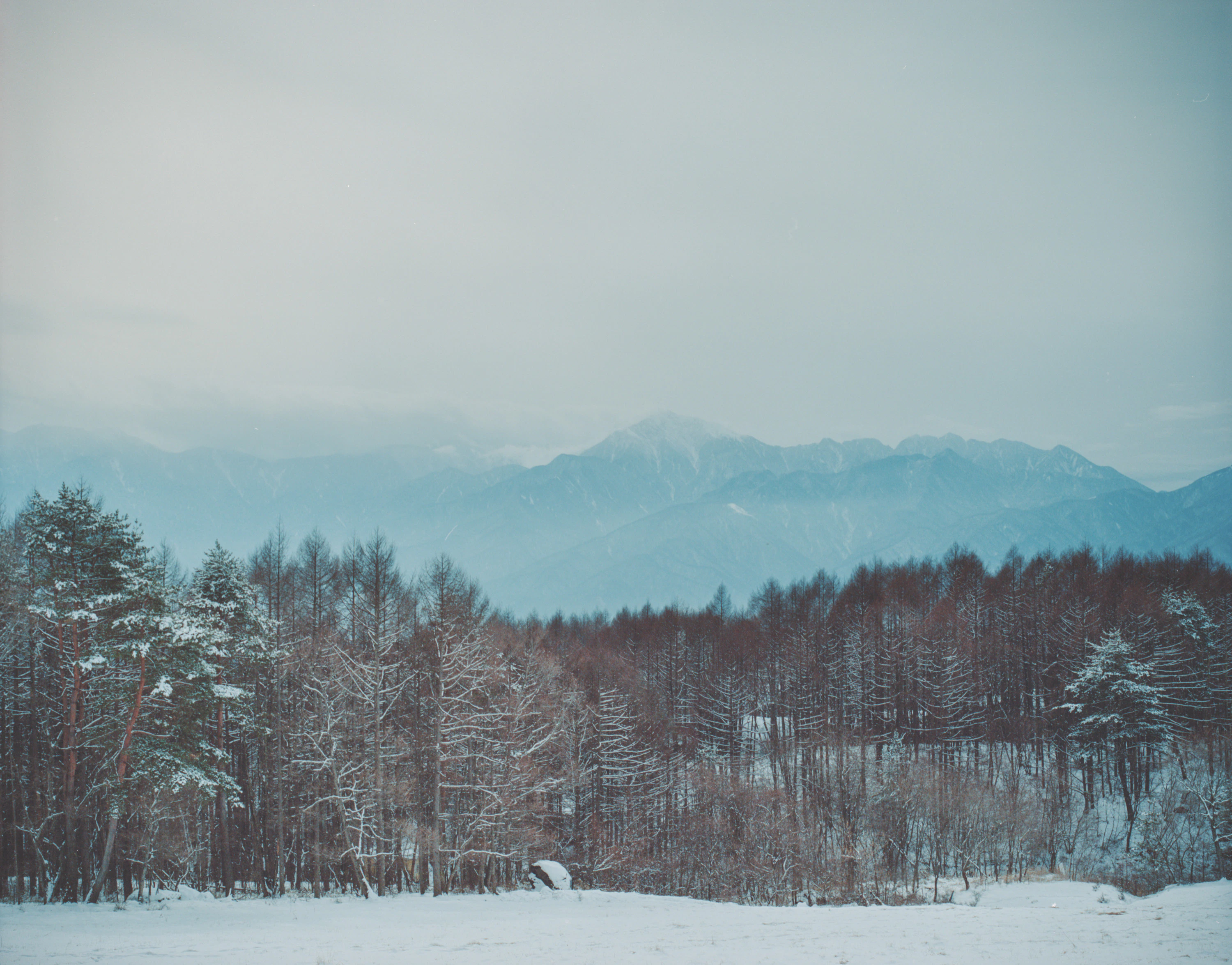 LANDING LAND 透明な日常 2025 /1/2〜3/2写真展を開催