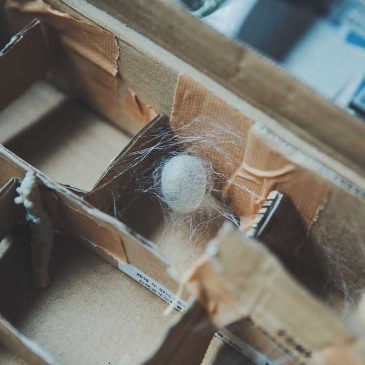 机の上の幻想風景