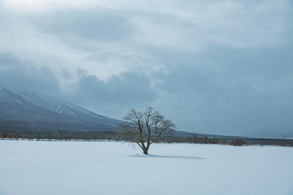 Liart Vol.22  Winter Back Country