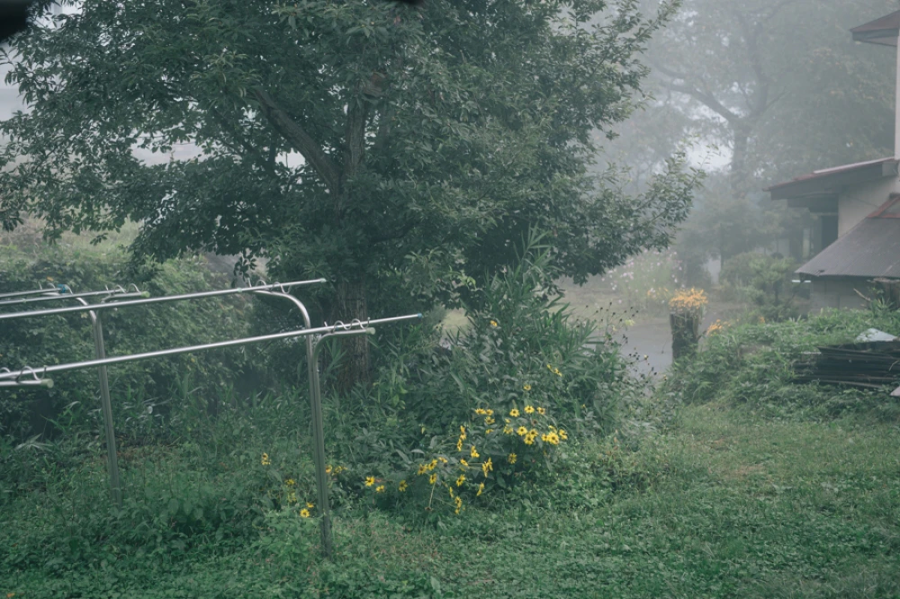 はると一日、家で。