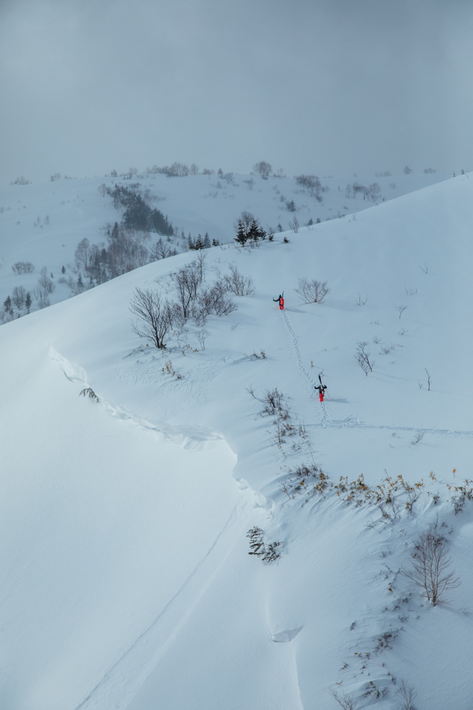 Liart Vol.22  Winter Back Country