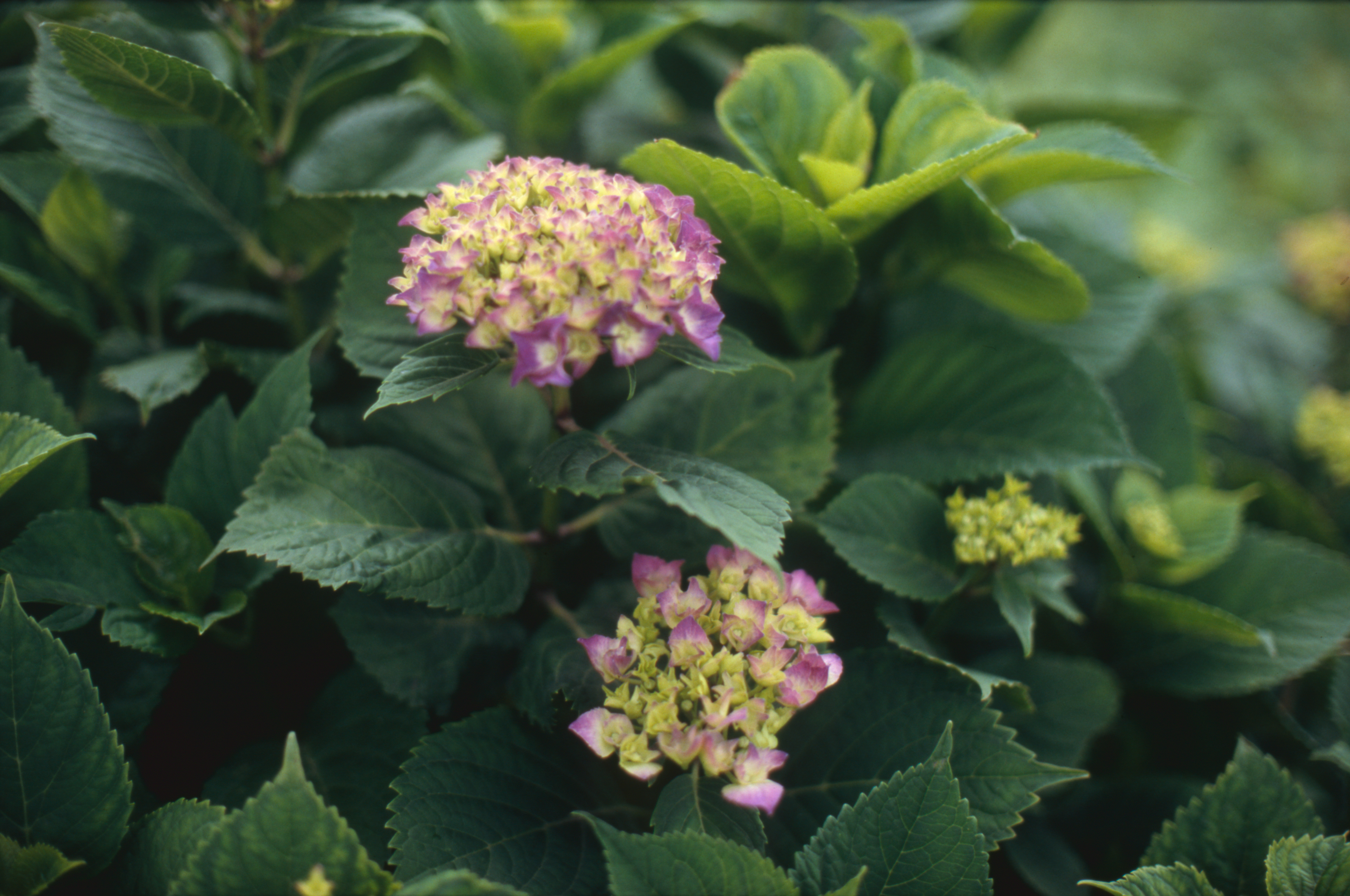 日々の隙間　2005