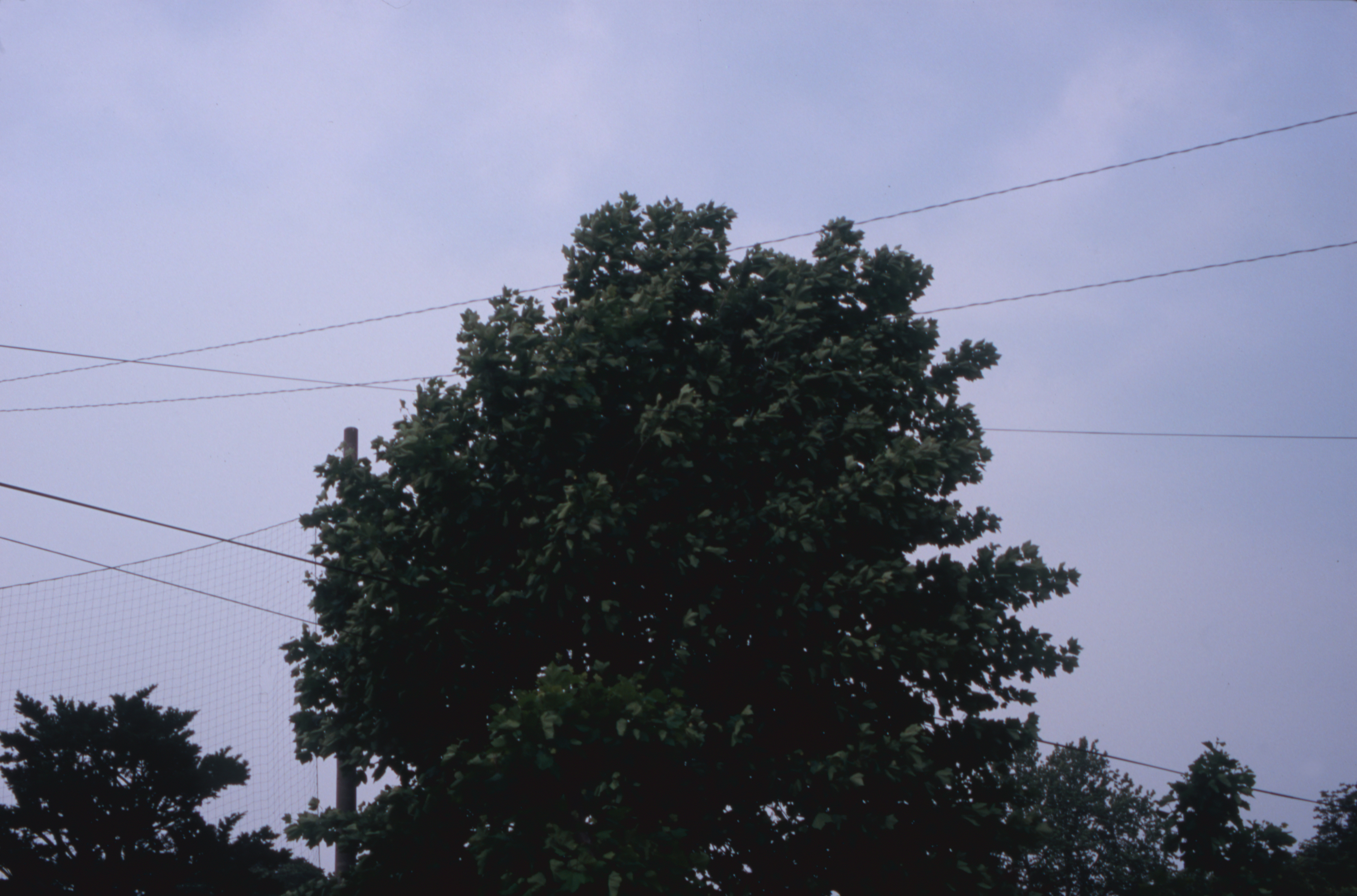 日々の隙間　2005