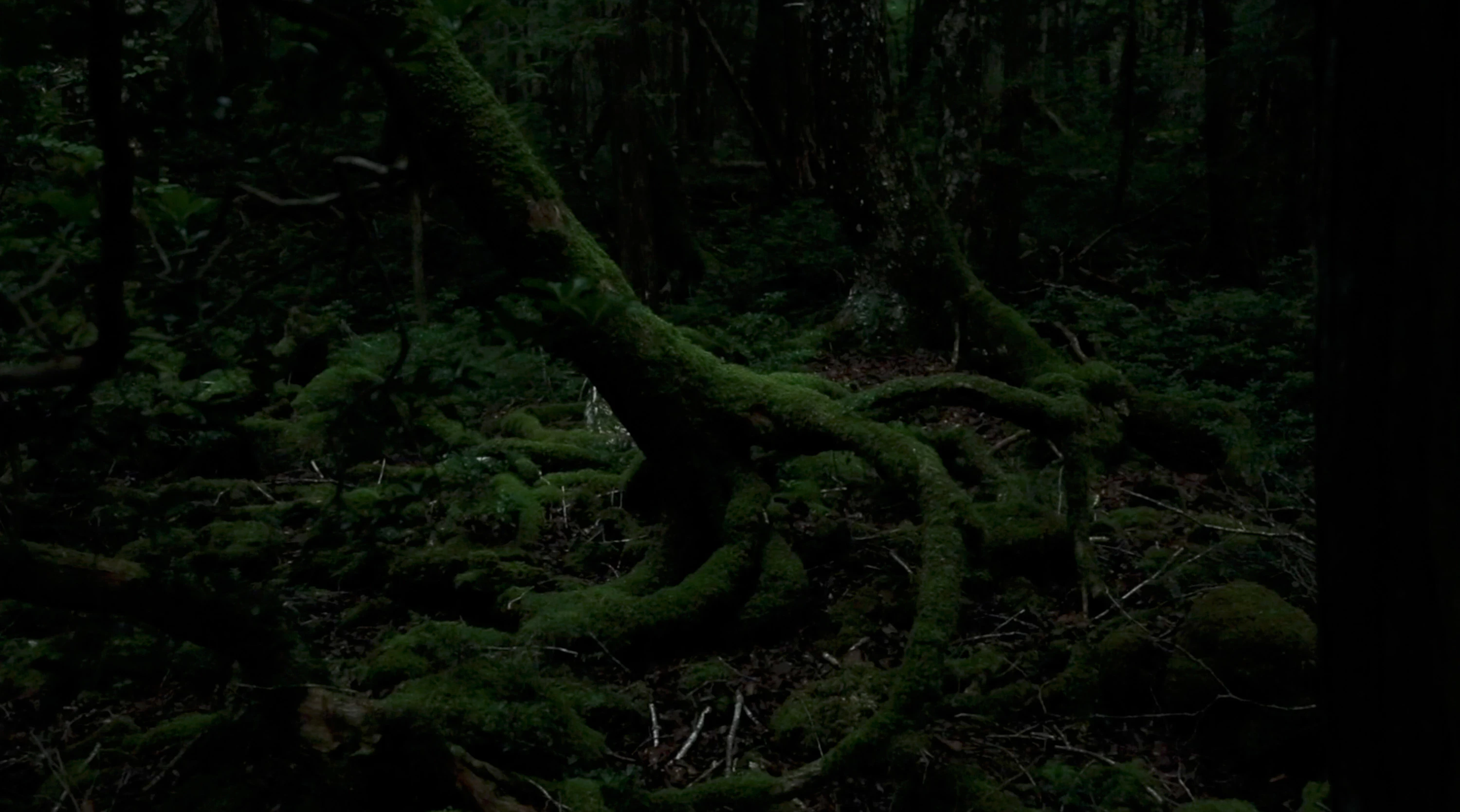 「yl&Co.Hotel in Mt.Fuji」「kagelow」 イメージムービー