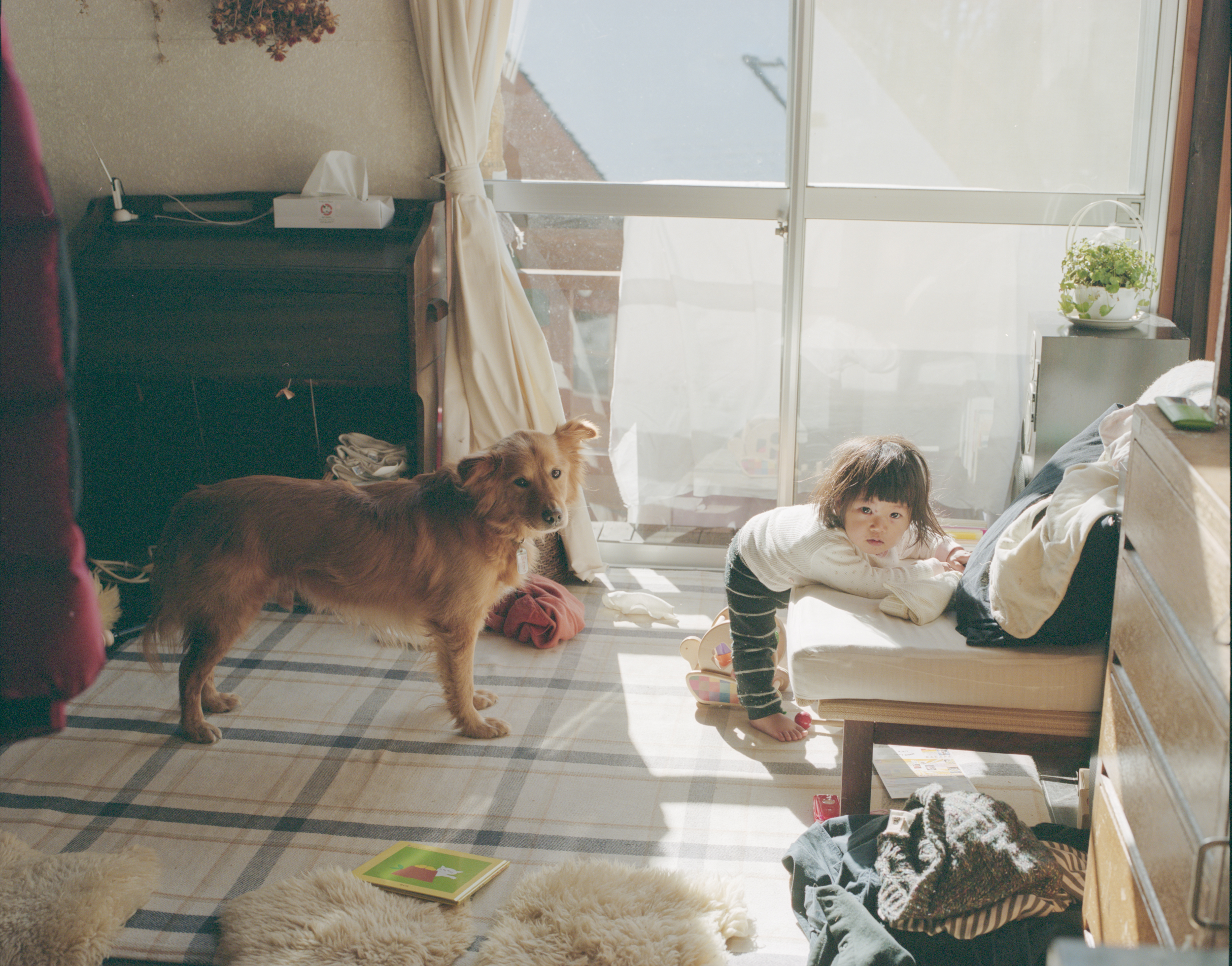 LANDING LAND 透明な日常