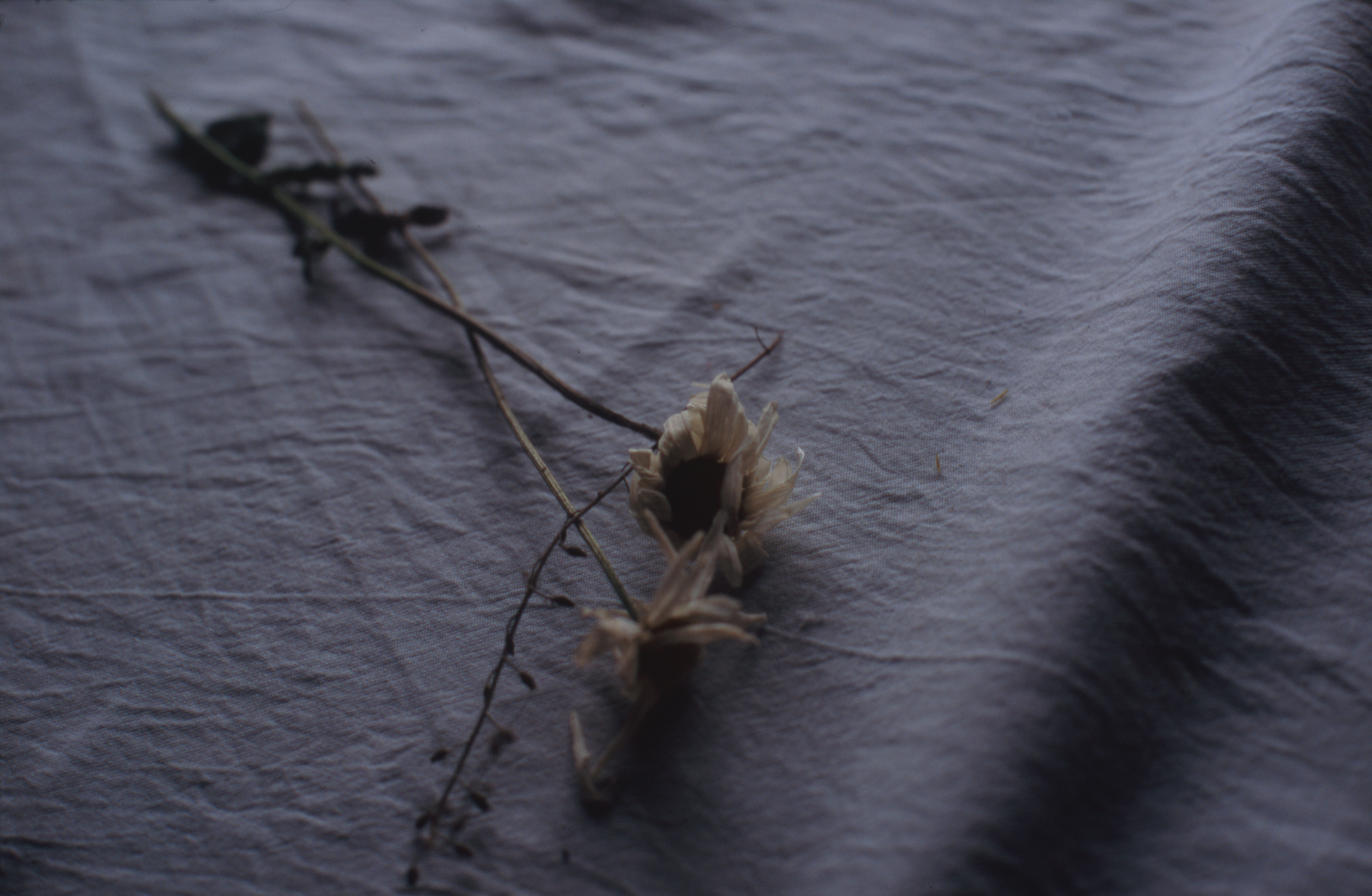 日々の隙間　2005