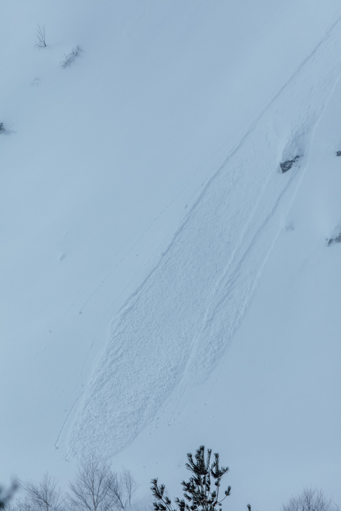 Liart Vol.22  Winter Back Country